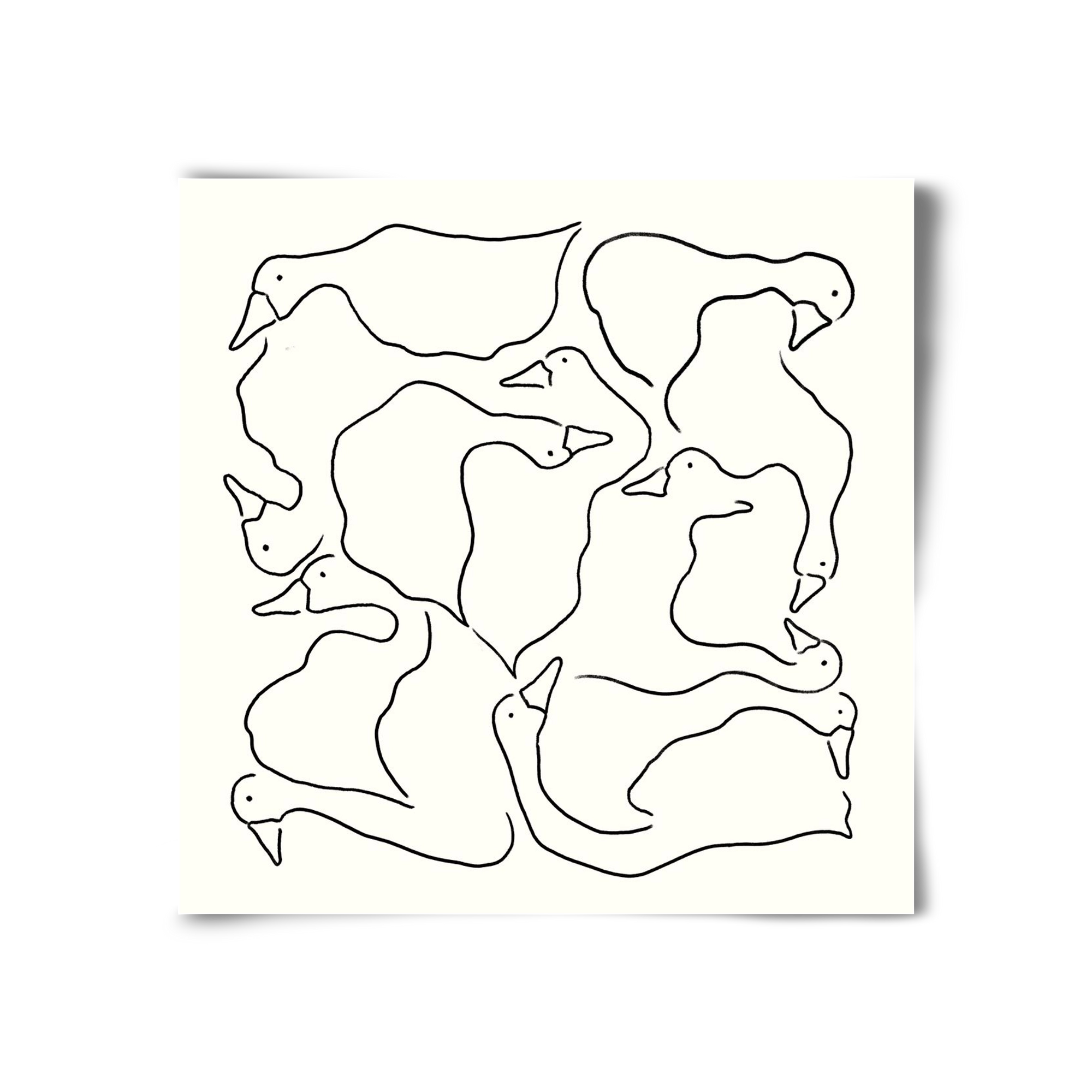 Duck Duck Goose in black and white, 30x30 cm, Keret nélkül