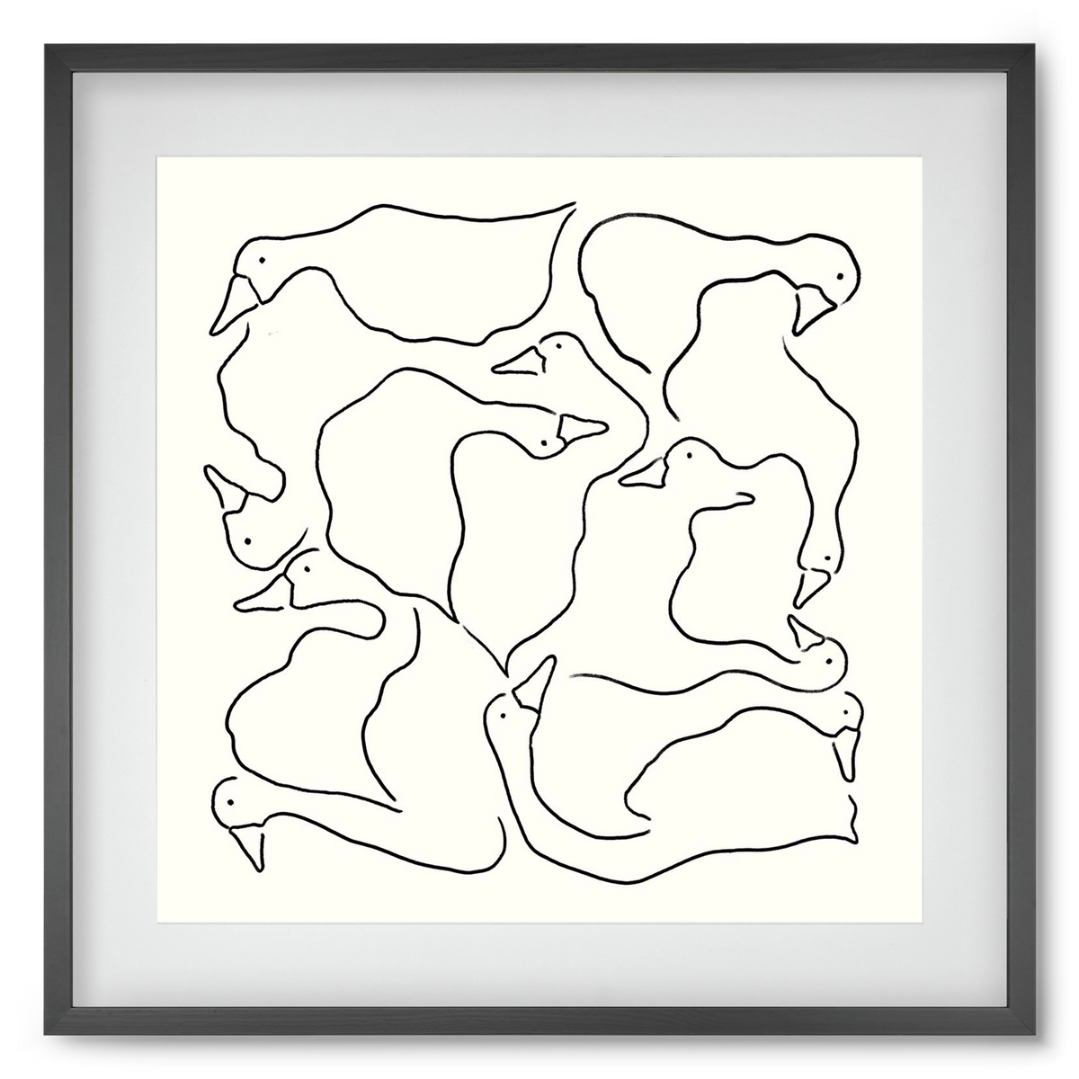 Duck Duck Goose in black and white, 50x50 cm (40x40 cm), Fekete keret, paszpartuval