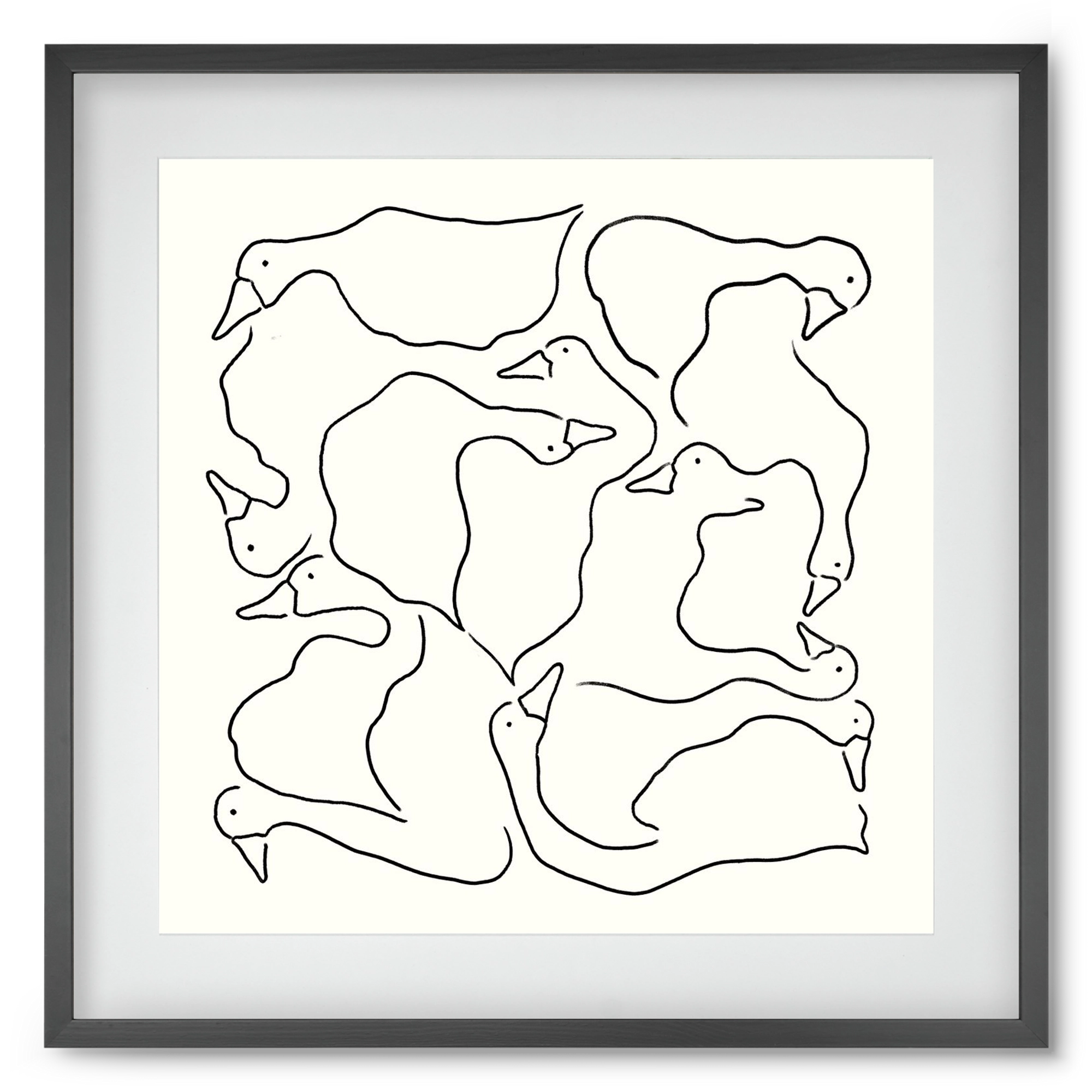 Duck Duck Goose in black and white, 50x50 cm (40x40 cm), Fekete keret, paszpartuval