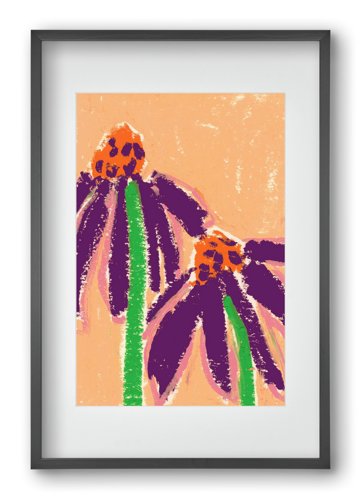 Echinacea, 40x60 cm (30x45 cm), Fekete keret, paszpartuval