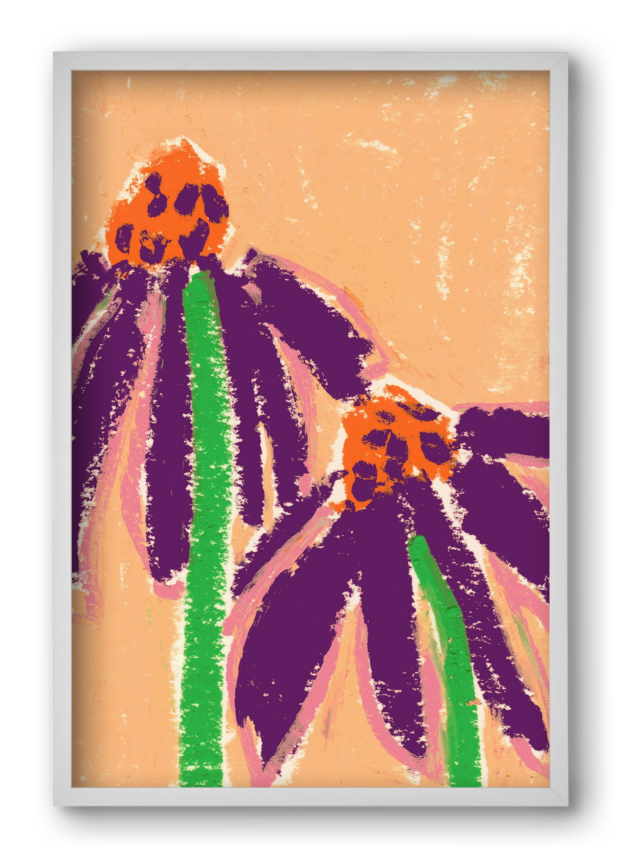 Echinacea, 40x60 cm (40x60 cm), Fehér keret