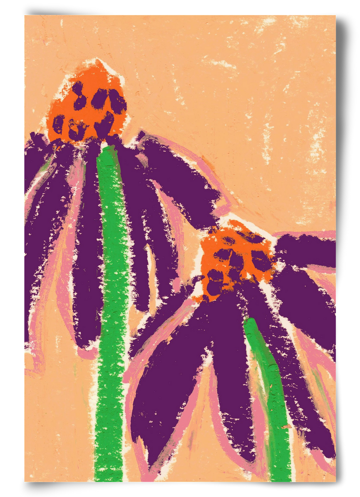 Echinacea, 60x90 cm, Keret nélkül