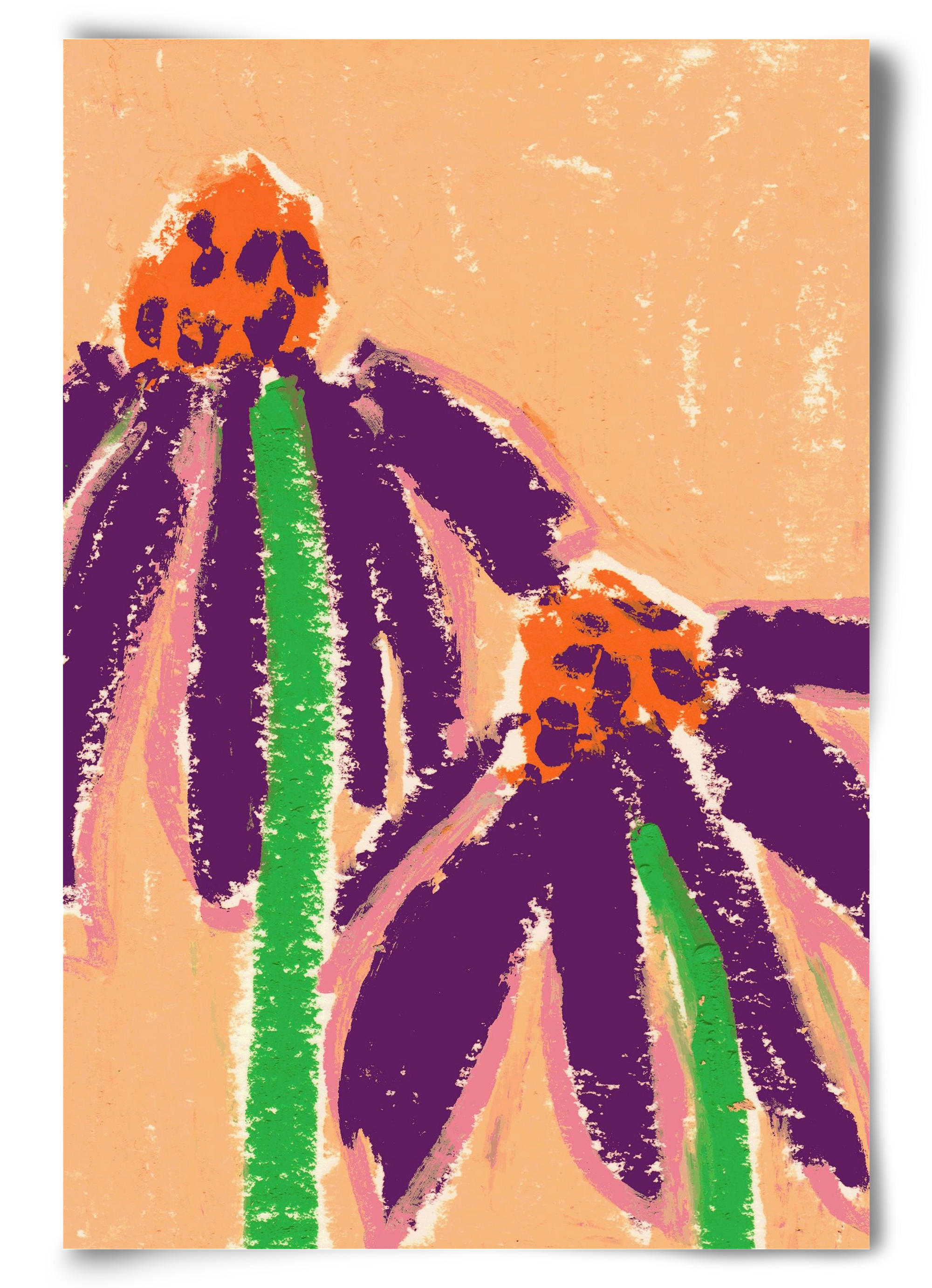 Echinacea, 60x90 cm, Keret nélkül