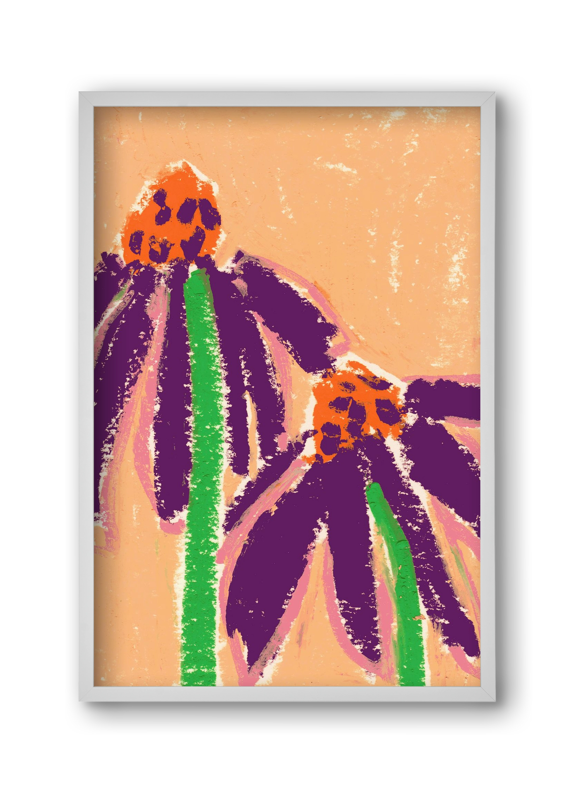 Echinacea, 30x45 cm (30x45 cm), Fehér keret