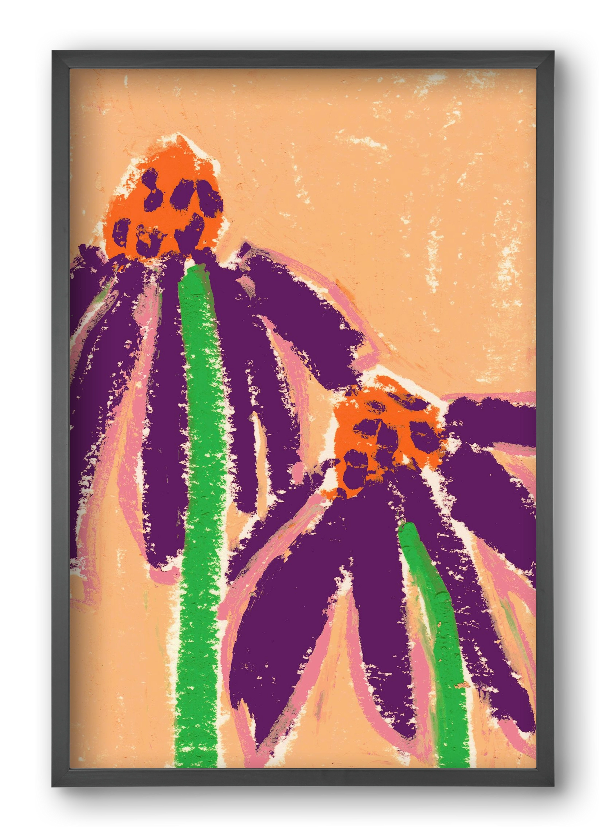 Echinacea, 40x60 cm (40x60 cm), Fekete keret