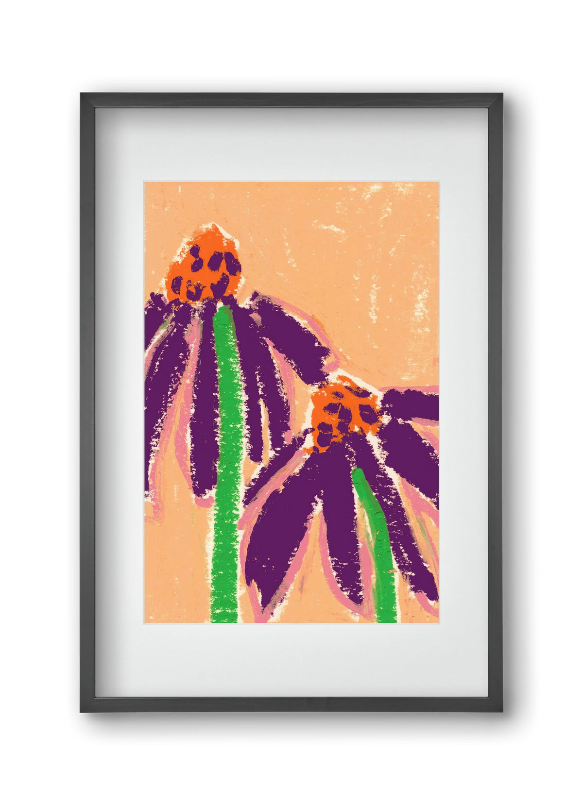 Echinacea, 30x45 cm (20x30 cm), Fekete keret, paszpartuval