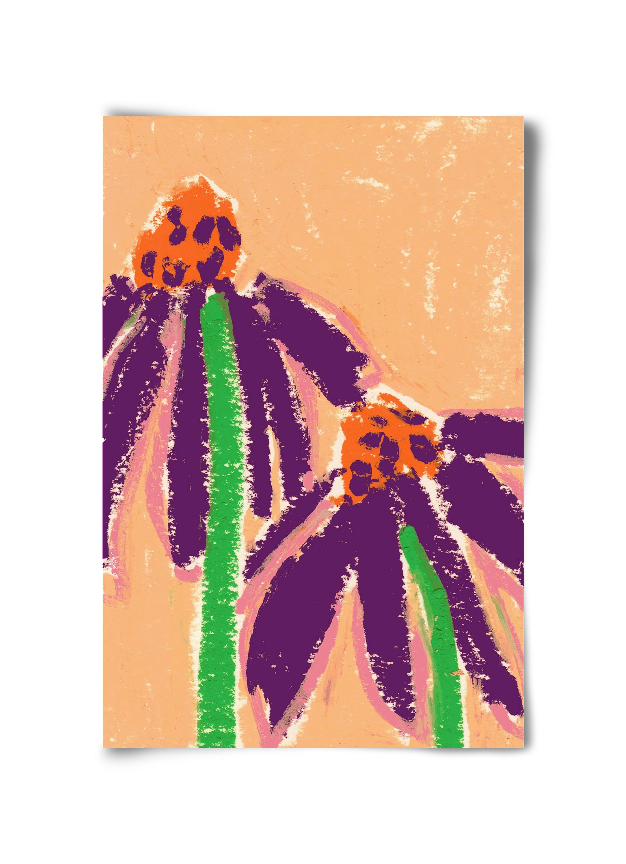 Echinacea, 30x45 cm, Keret nélkül