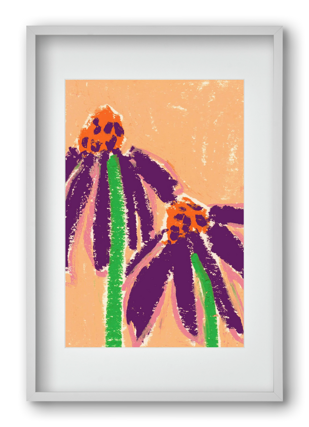 Echinacea, 40x60 cm (30x45 cm), Fehér keret, paszpartuval