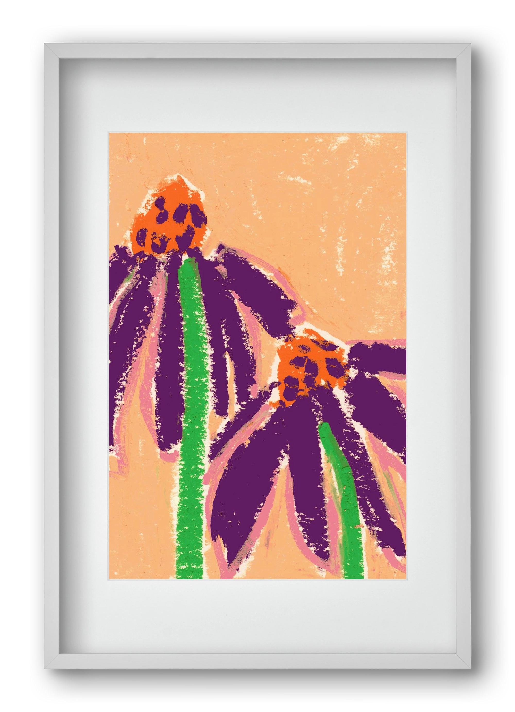 Echinacea, 40x60 cm (30x45 cm), Fehér keret, paszpartuval