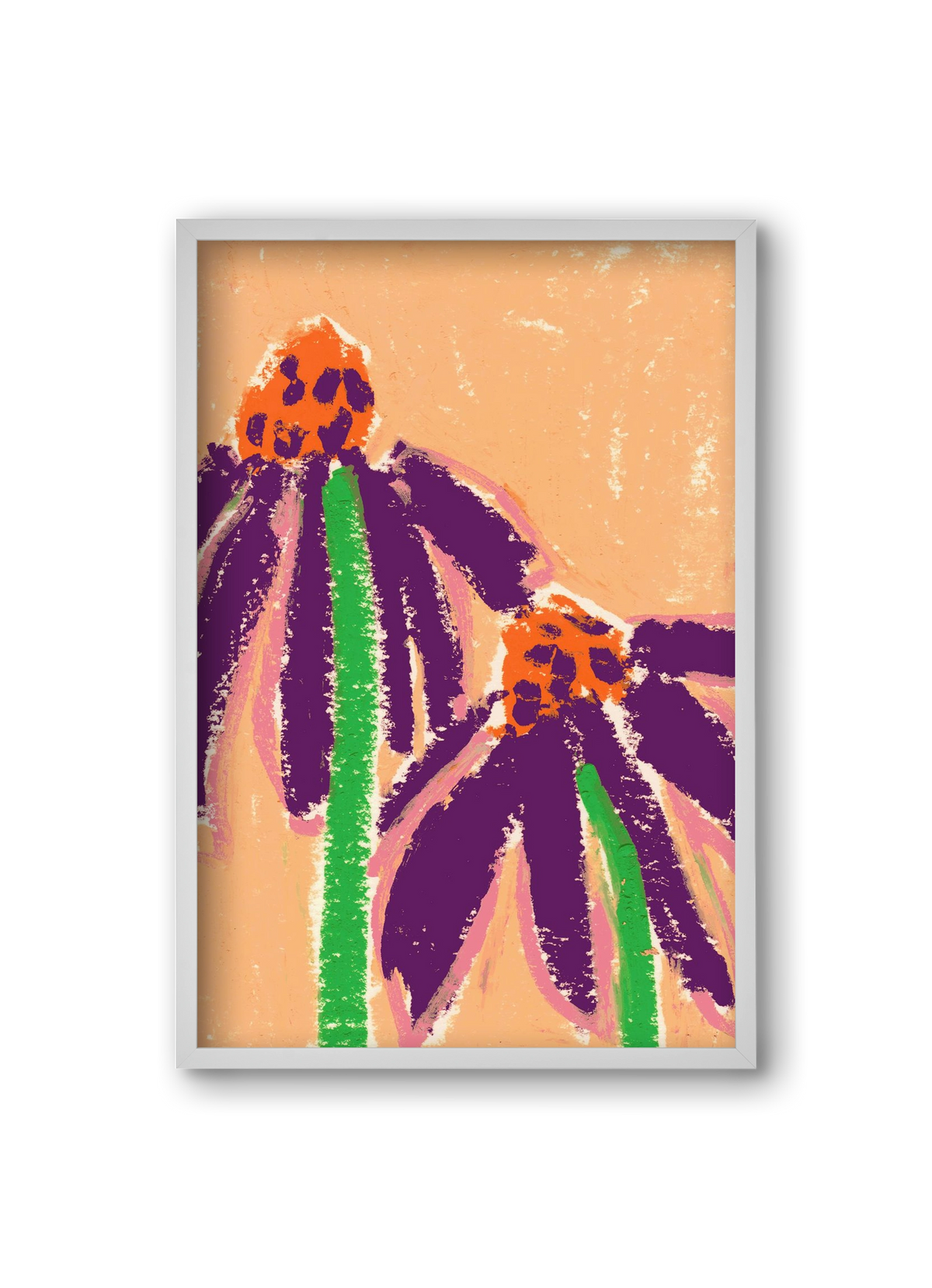 Echinacea, 20x30 cm (20x30 cm), Fehér keret