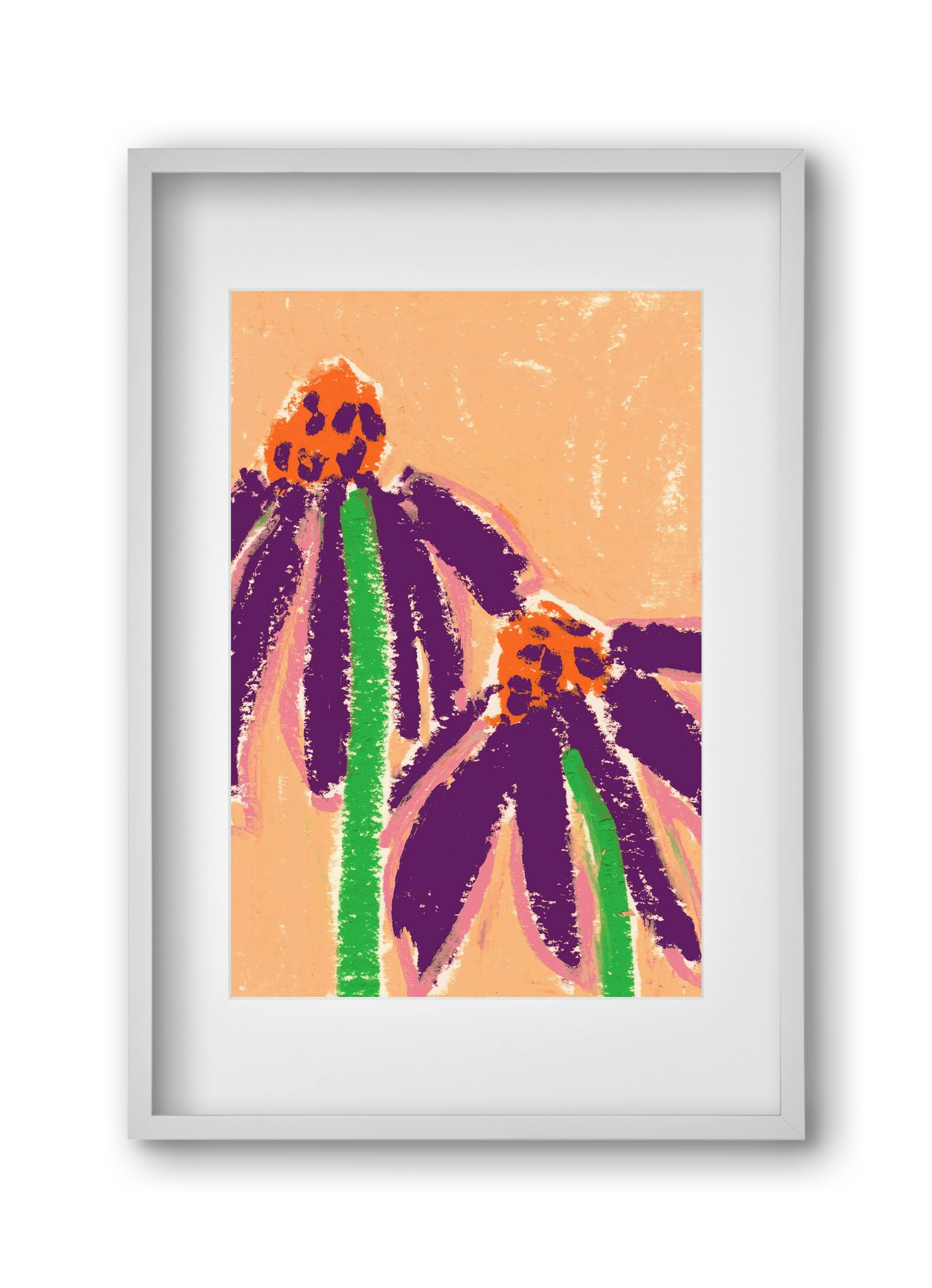 Echinacea, 30x45 cm (20x30 cm), Fehér keret, paszpartuval