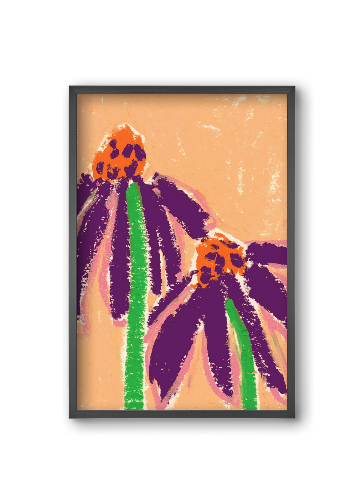 Echinacea, 20x30 cm (20x30 cm), Fekete keret