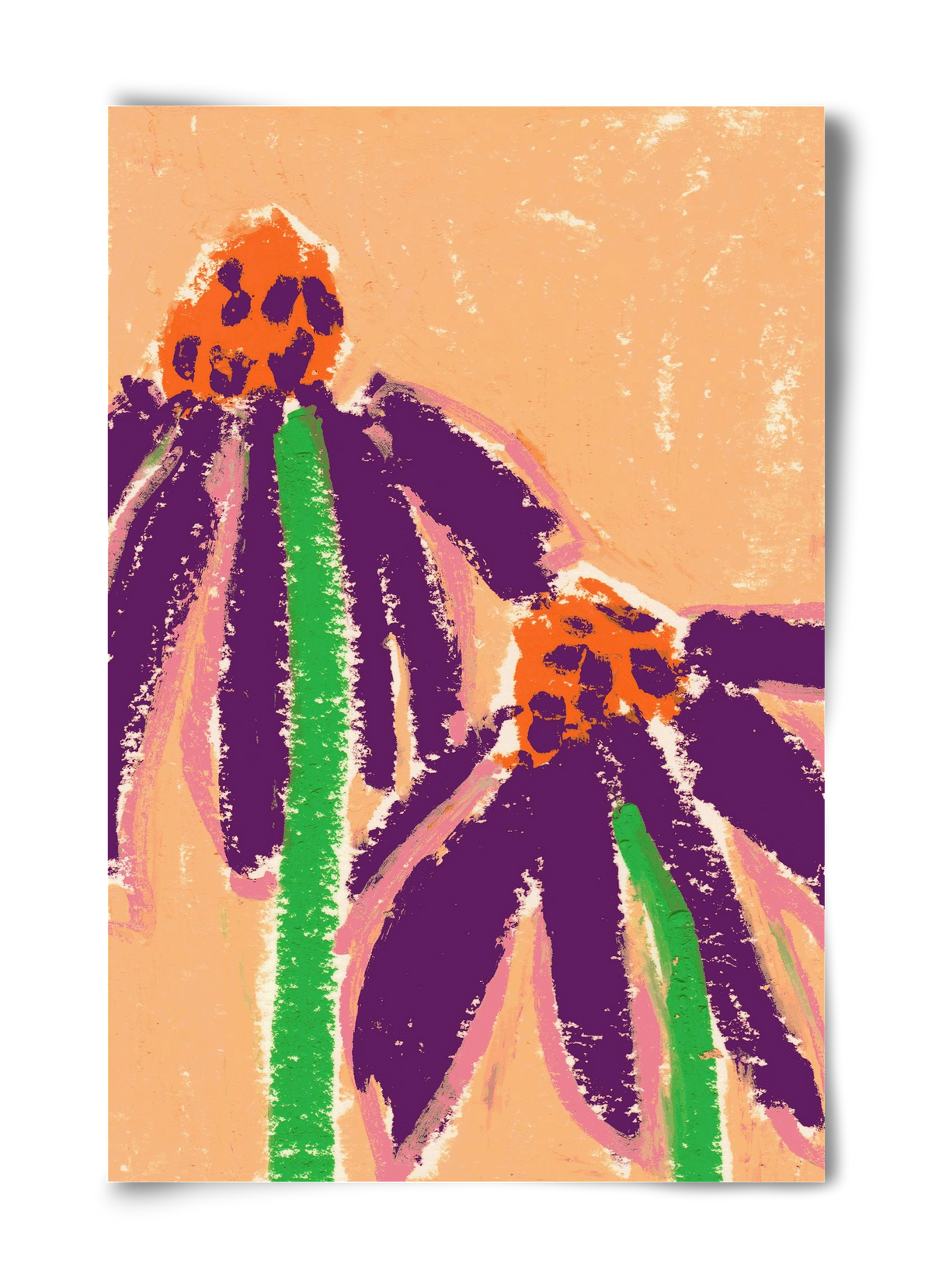 Echinacea, 40x60 cm, Keret nélkül