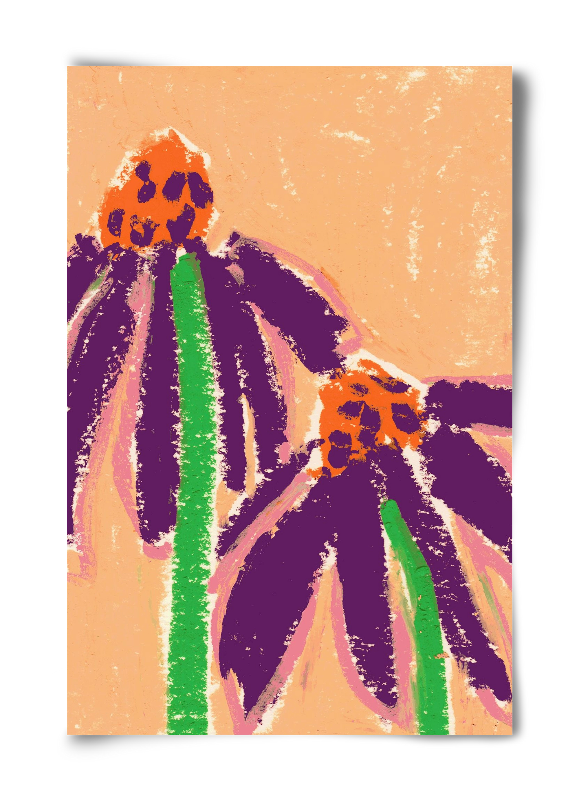 Echinacea, 40x60 cm, Keret nélkül