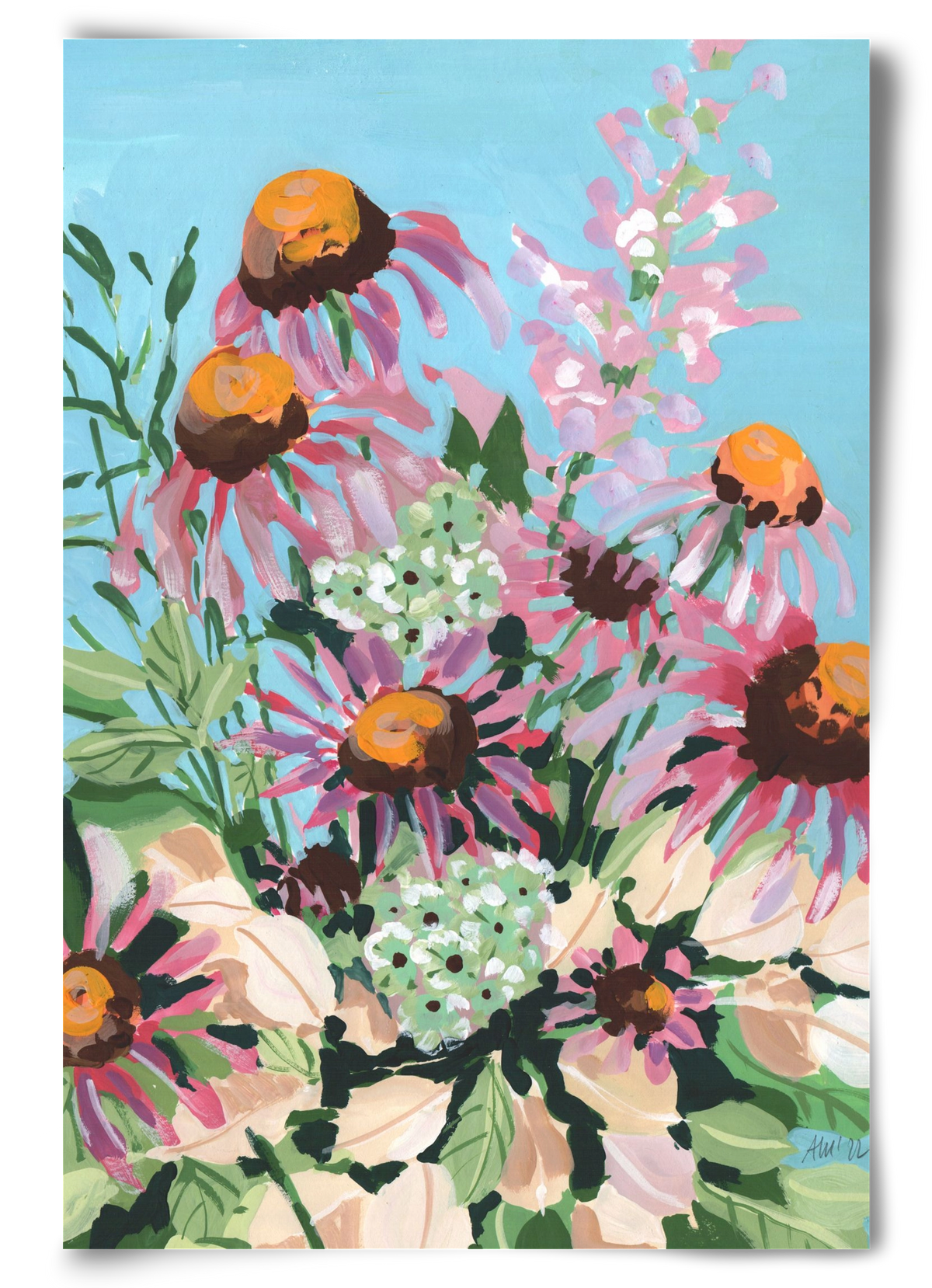 Echinacea purpurea, 60x90 cm, Keret nélkül