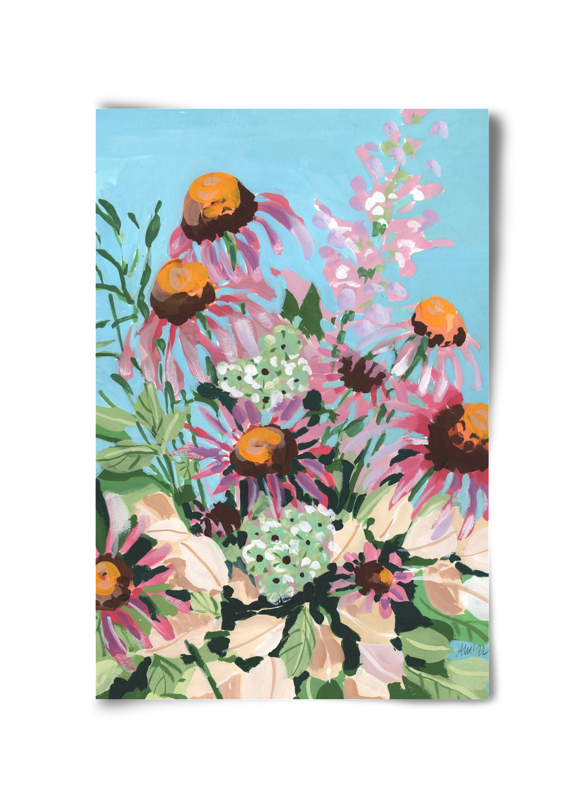 Echinacea purpurea, 30x45 cm, Keret nélkül