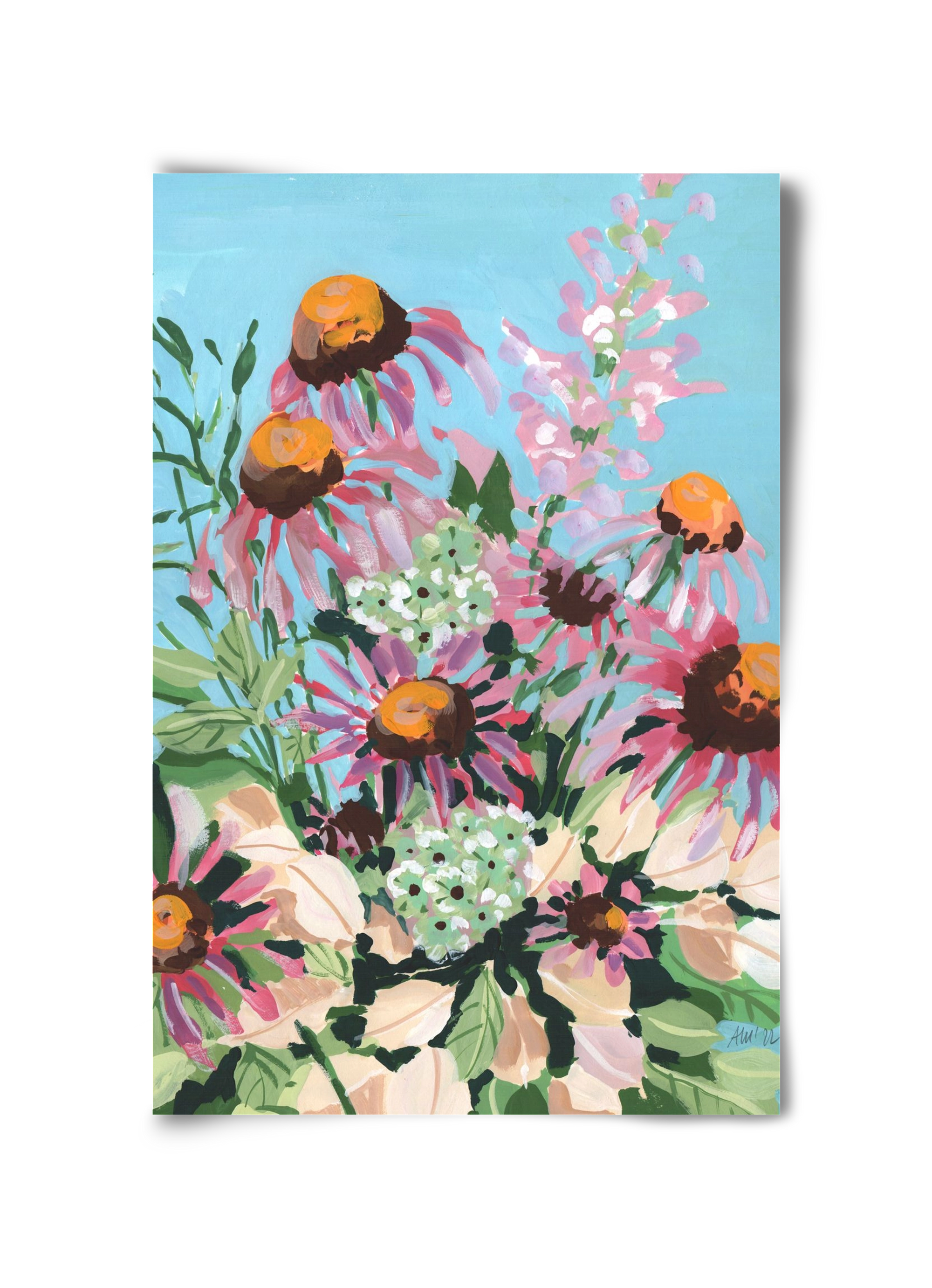 Echinacea purpurea, 30x45 cm, Keret nélkül