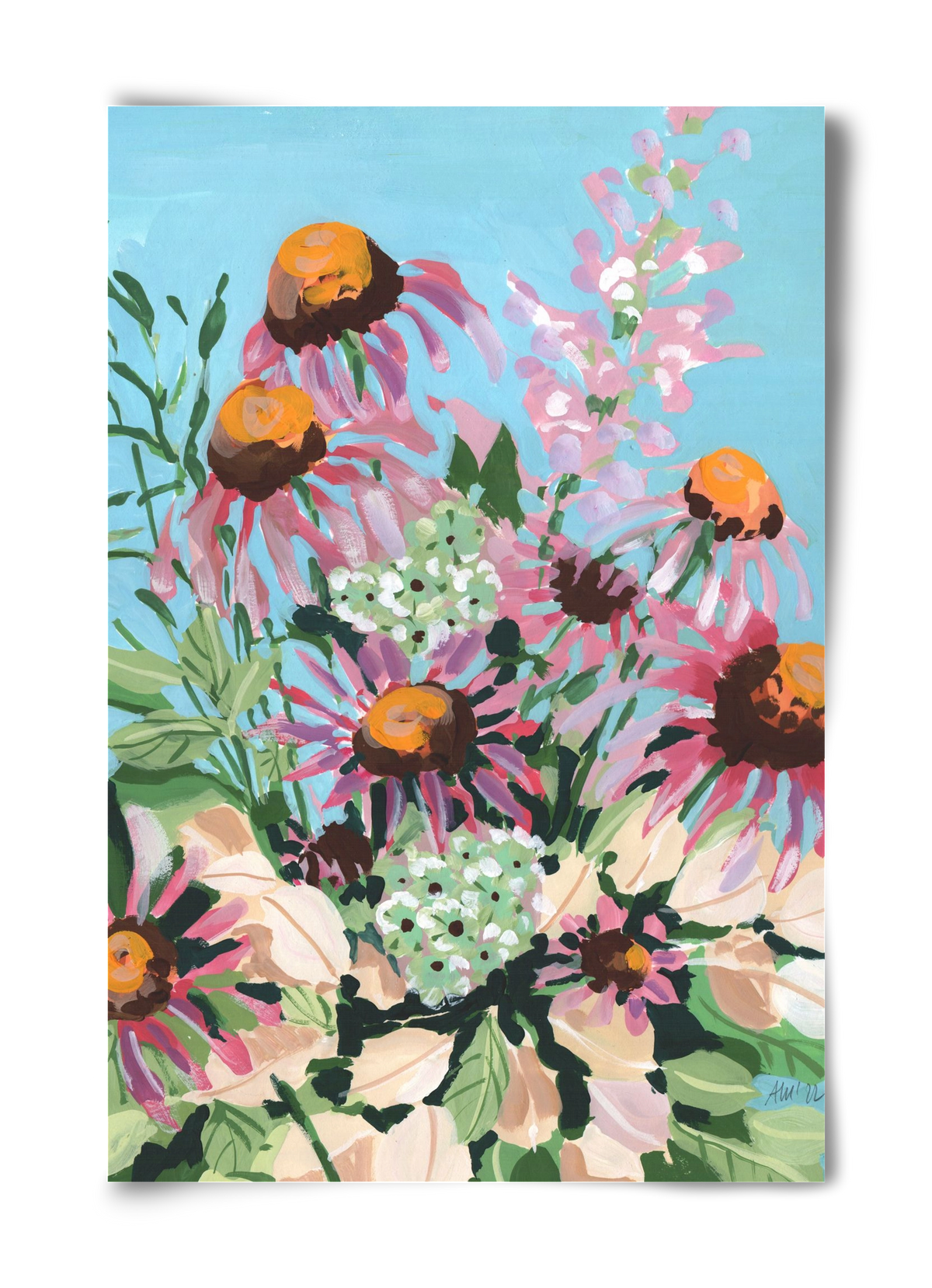 Echinacea purpurea, 40x60 cm, Keret nélkül