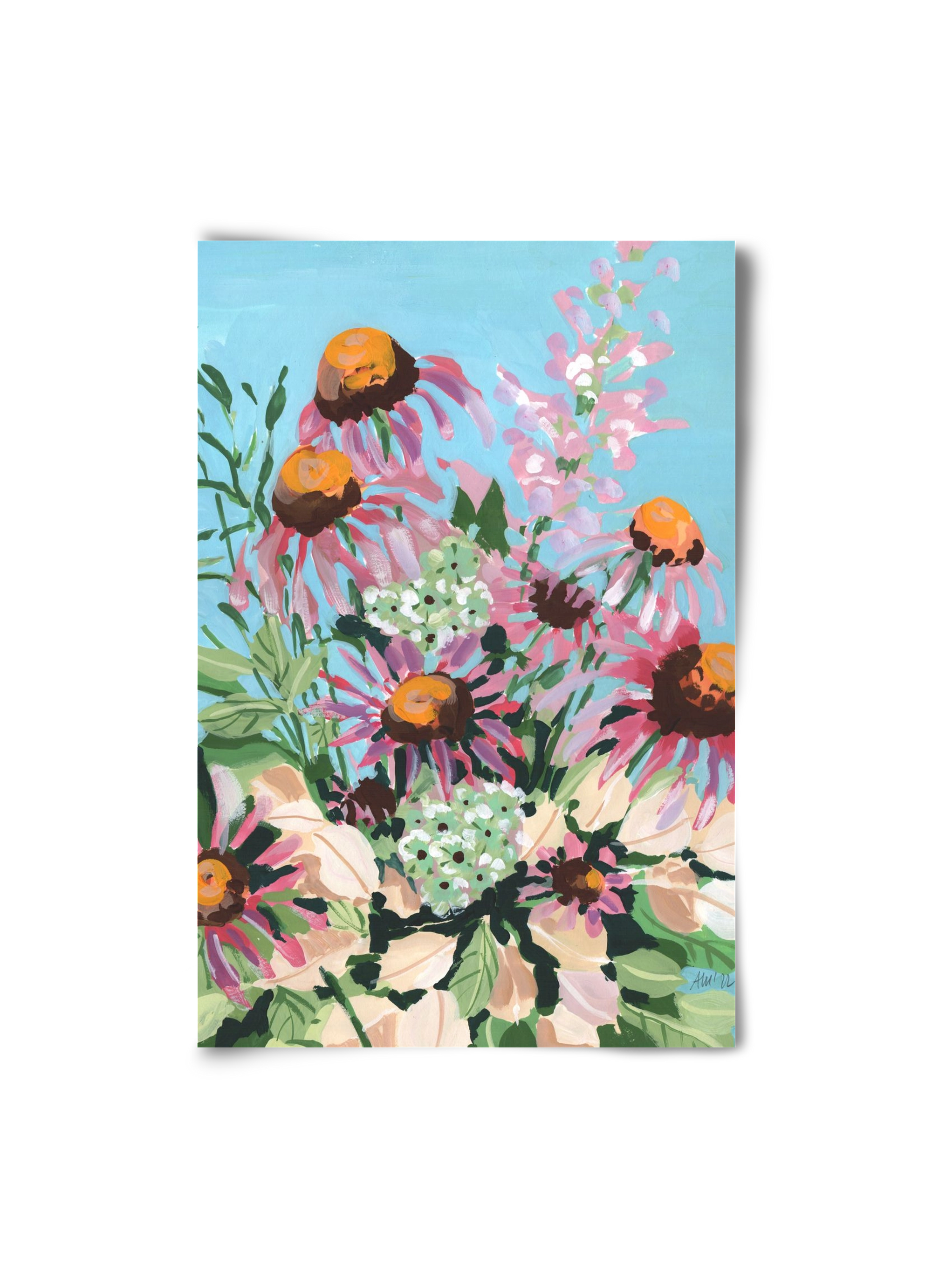 Echinacea purpurea, 20x30 cm, Keret nélkül