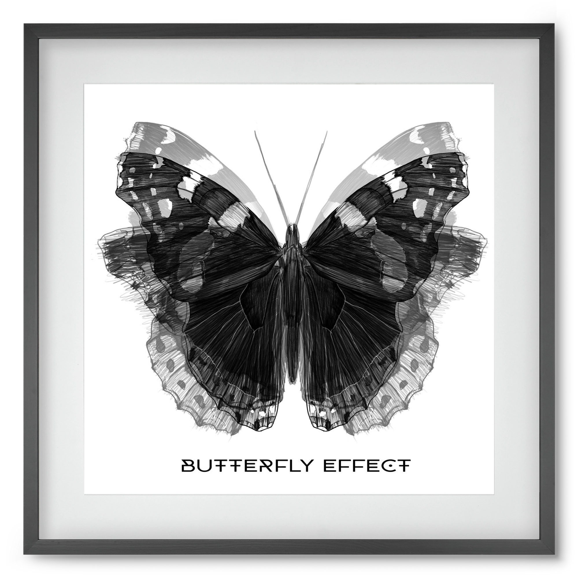 Butterfly effect, 50x50 cm (40x40 cm), Fekete keret, paszpartuval