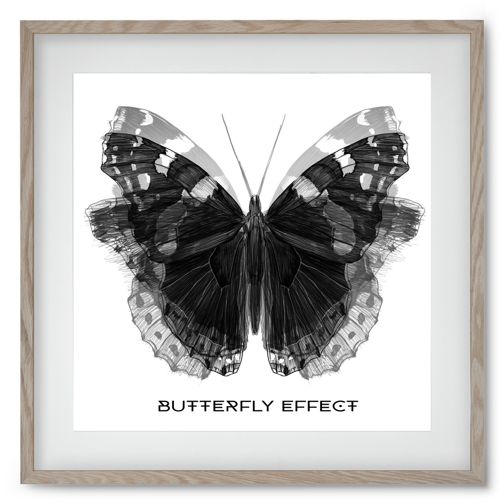 Butterfly effect, 50x50 cm (40x40 cm), Tölgy keret, paszpartuval