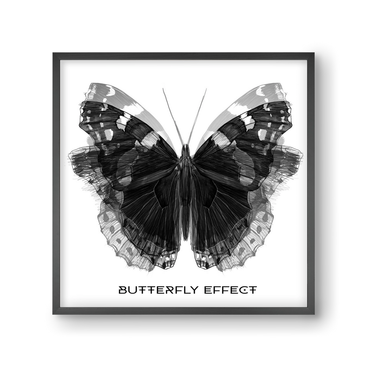 Butterfly effect, 30x30 cm (30x30 cm), Fekete keret