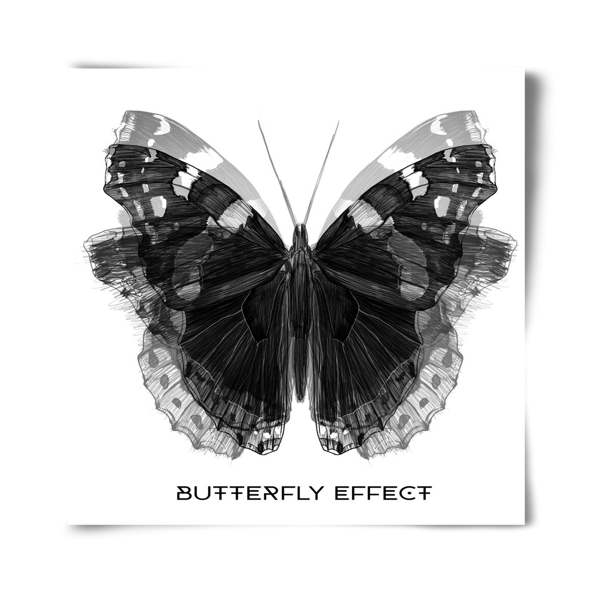 Butterfly effect, 40x40 cm, Keret nélkül