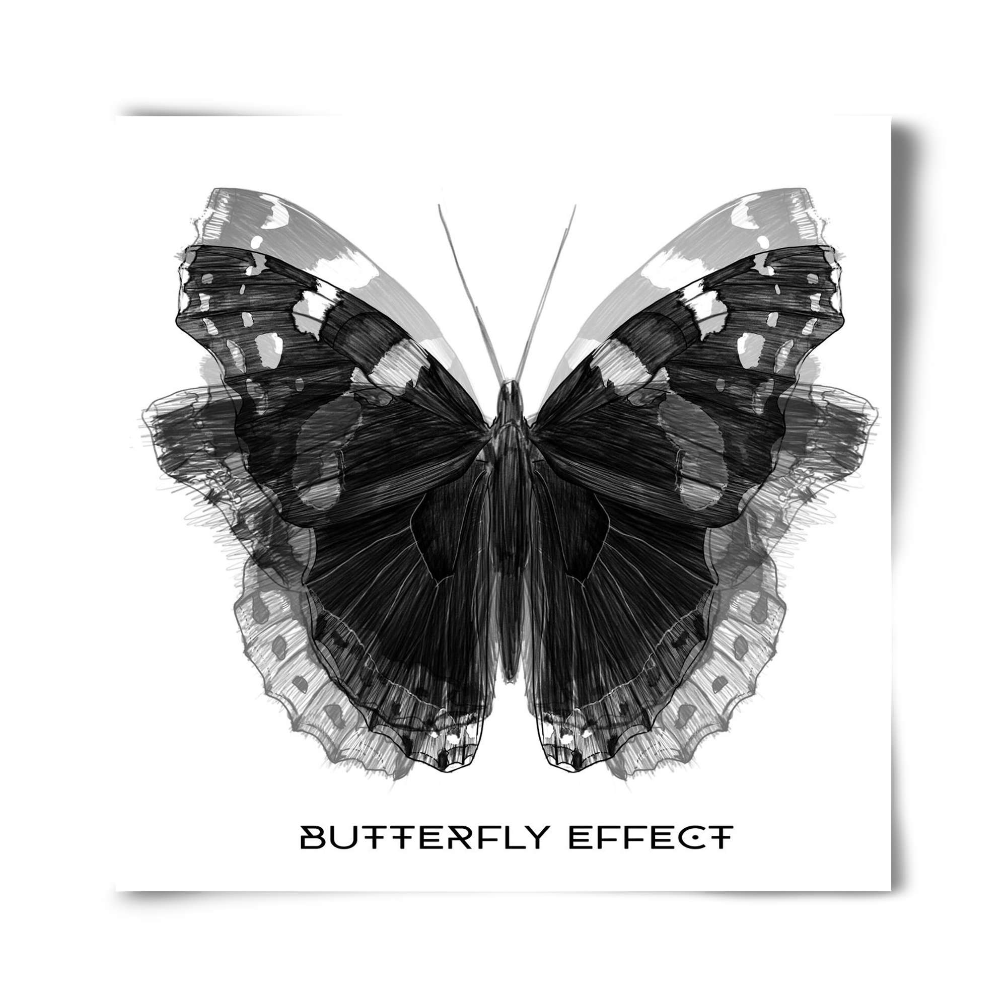 Butterfly effect, 40x40 cm, Keret nélkül