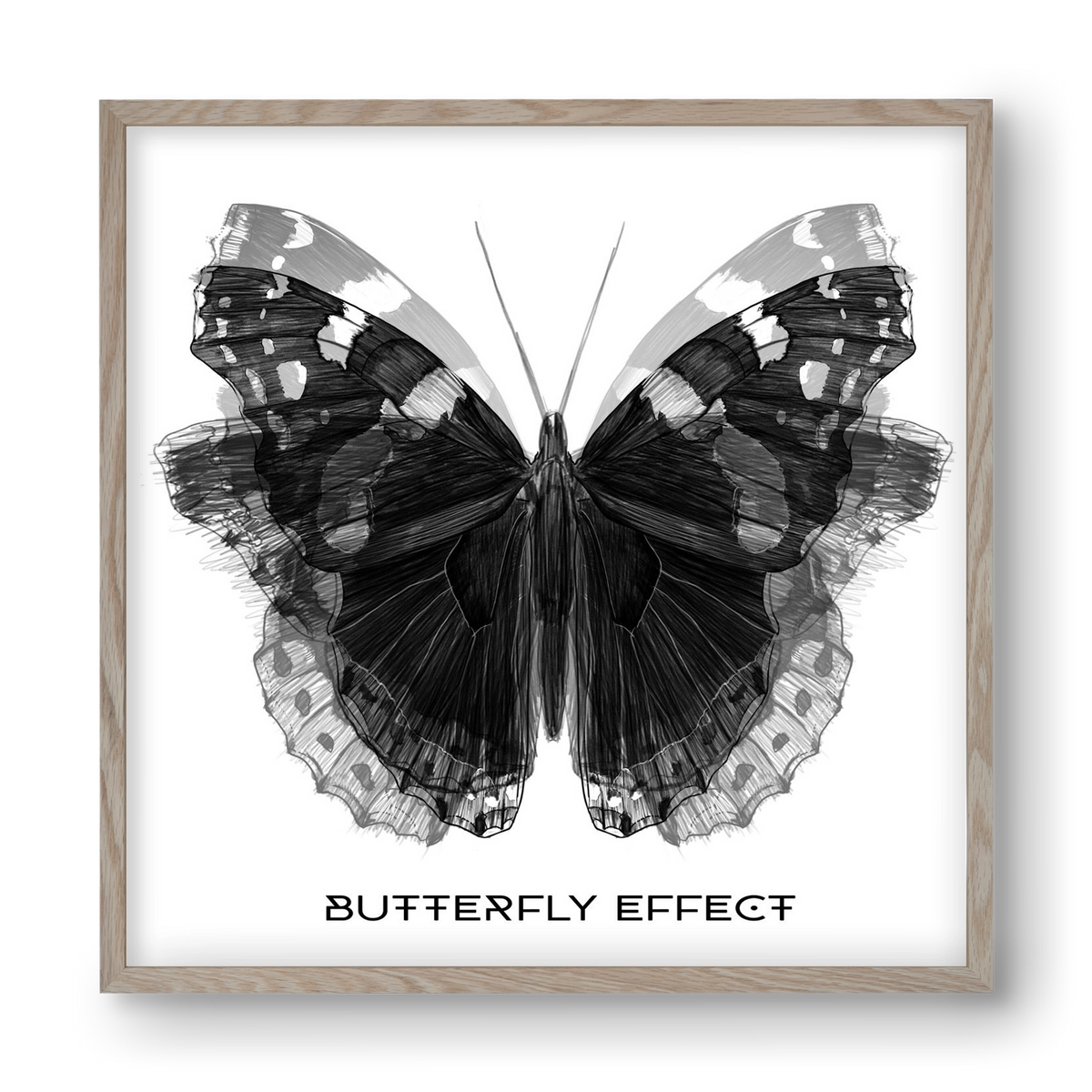Butterfly effect, 40x40 cm (40x40 cm), Tölgy keret