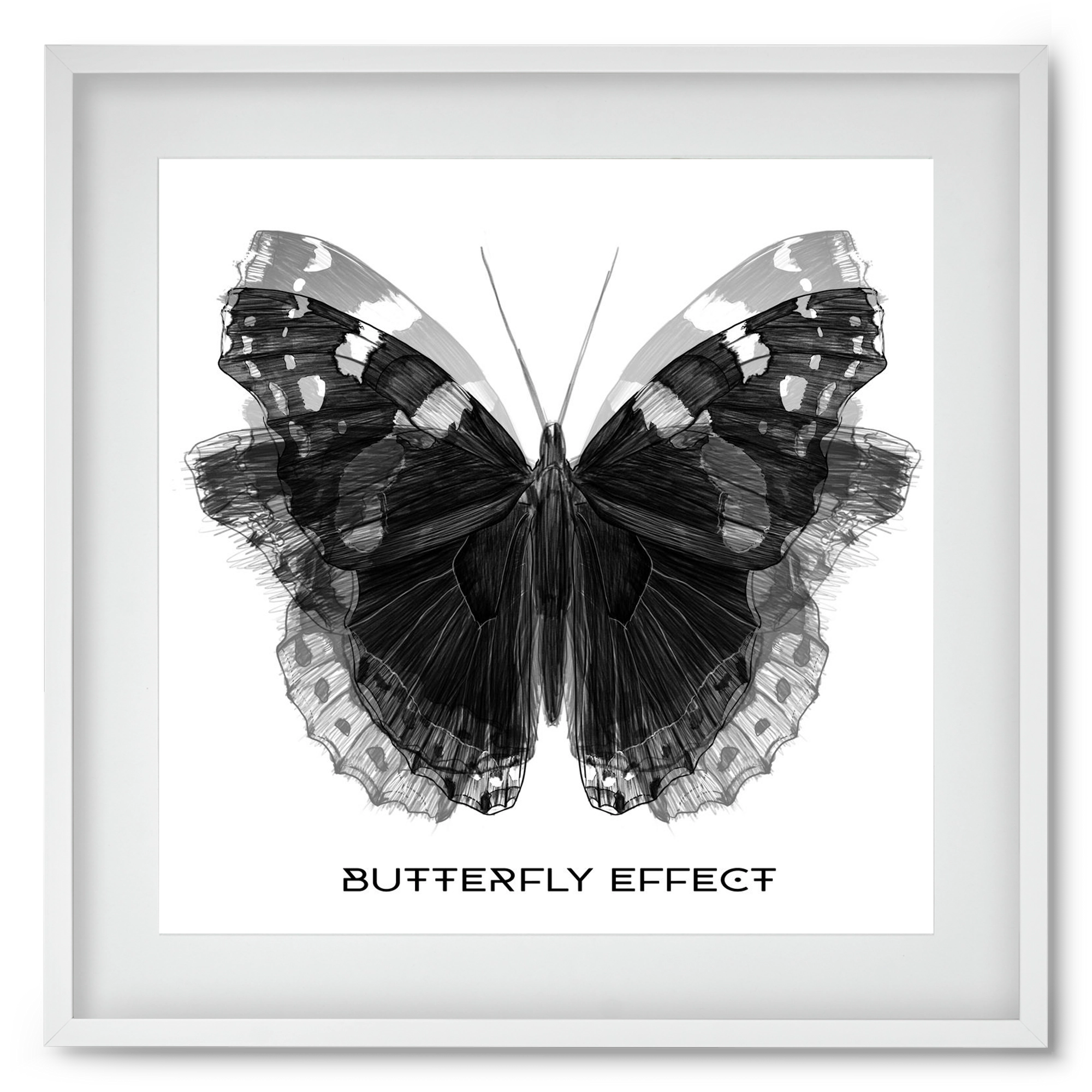 Butterfly effect, 50x50 cm (40x40 cm), Fehér keret, paszpartuval
