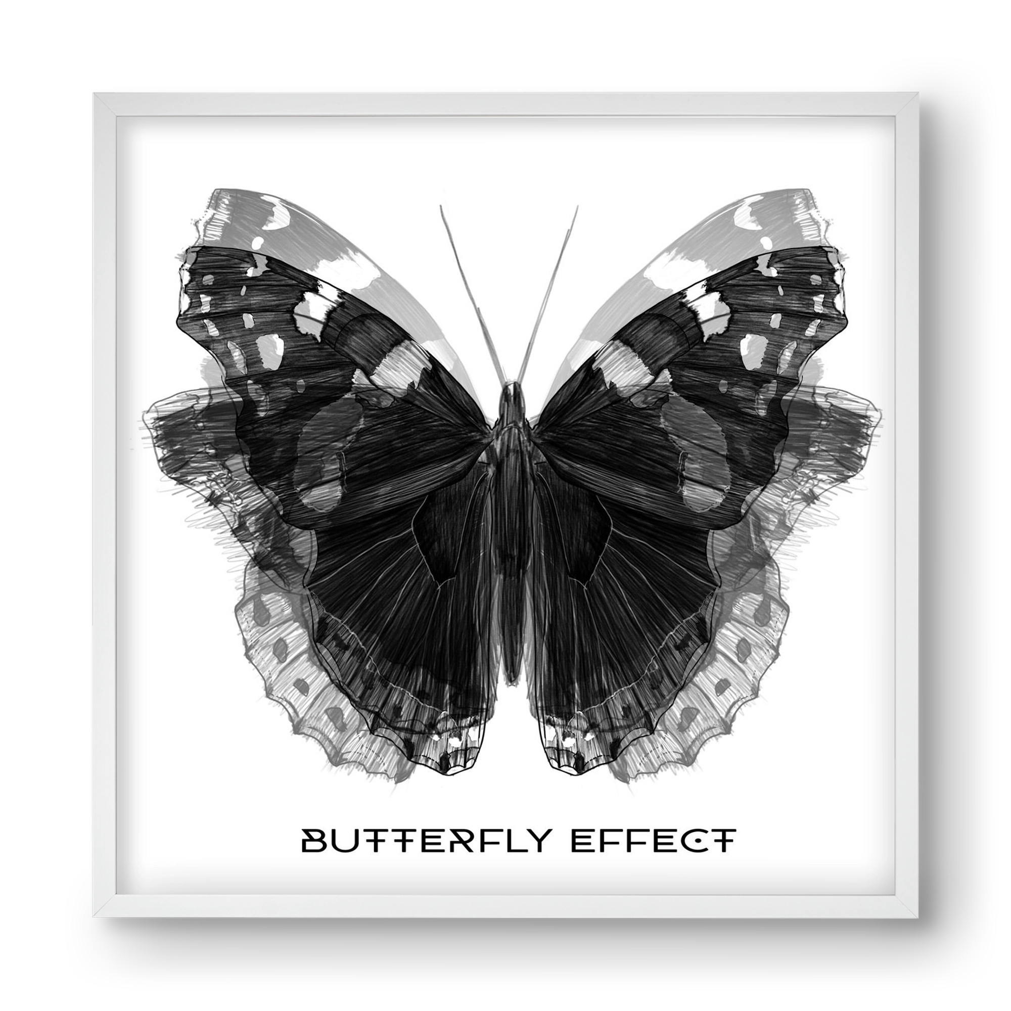 Butterfly effect, 40x40 cm (40x40 cm), Fehér keret