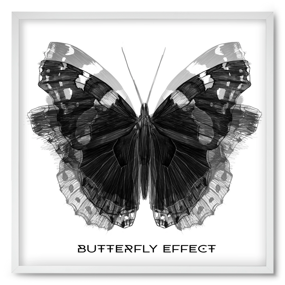 Butterfly effect, 50x50 cm (50x50 cm), Fehér keret