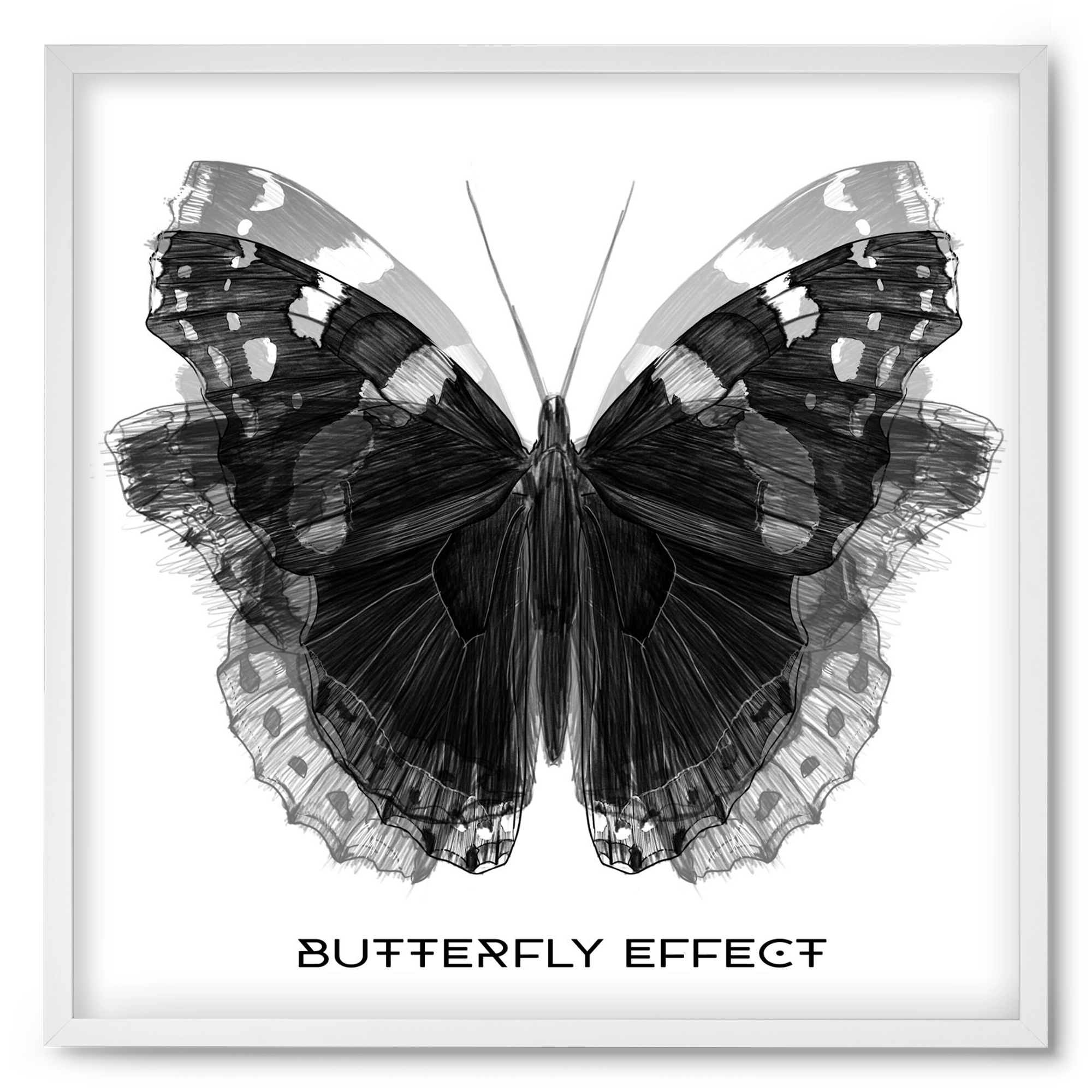 Butterfly effect, 50x50 cm (50x50 cm), Fehér keret