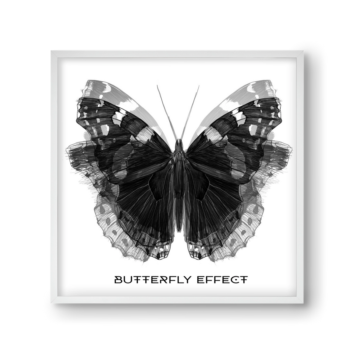 Butterfly effect, 30x30 cm (30x30 cm), Fehér keret