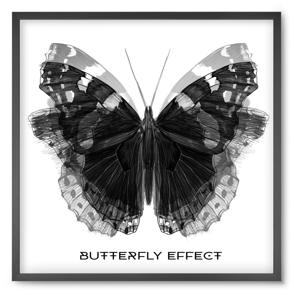 Butterfly effect, 50x50 cm (50x50 cm), Fekete keret