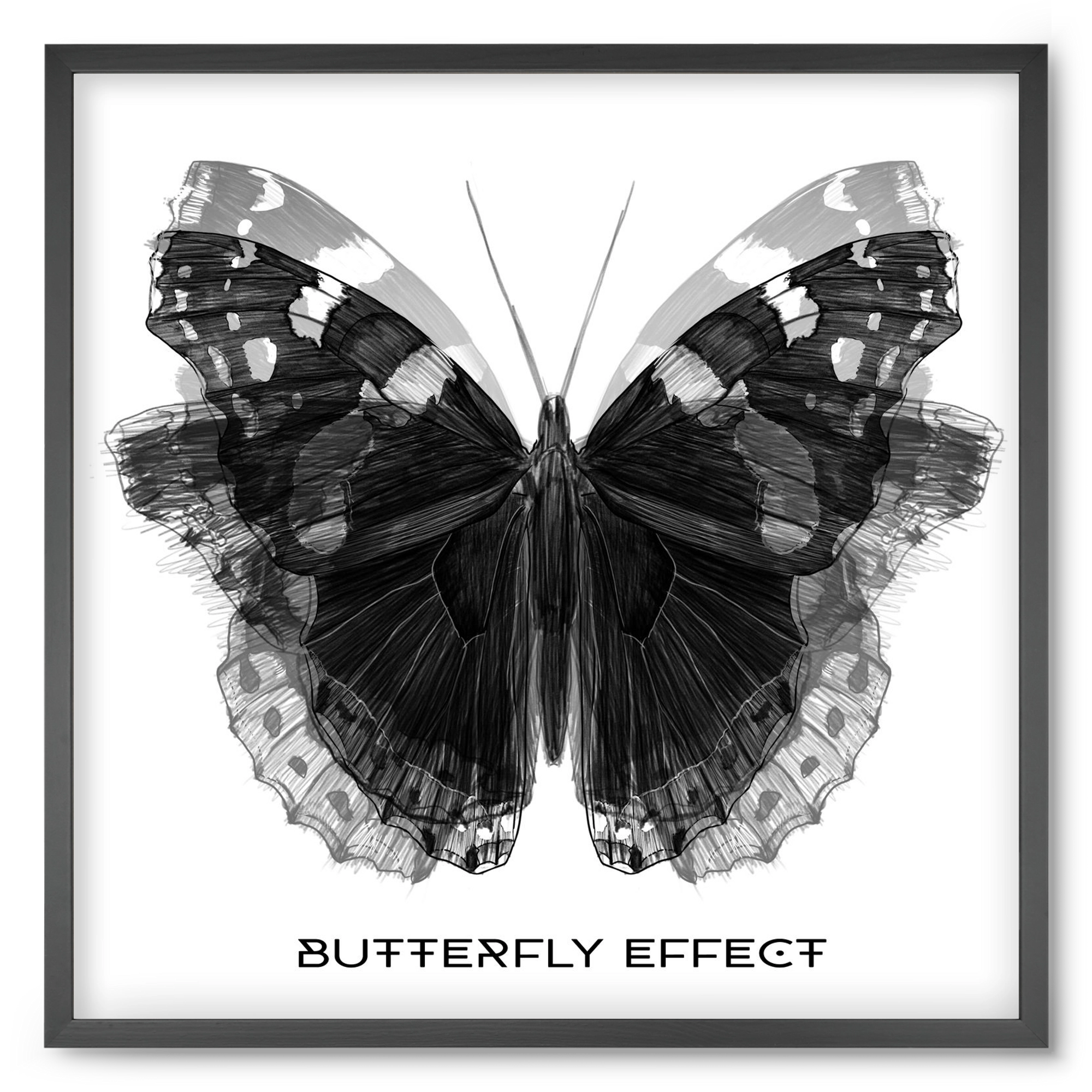 Butterfly effect, 50x50 cm (50x50 cm), Fekete keret