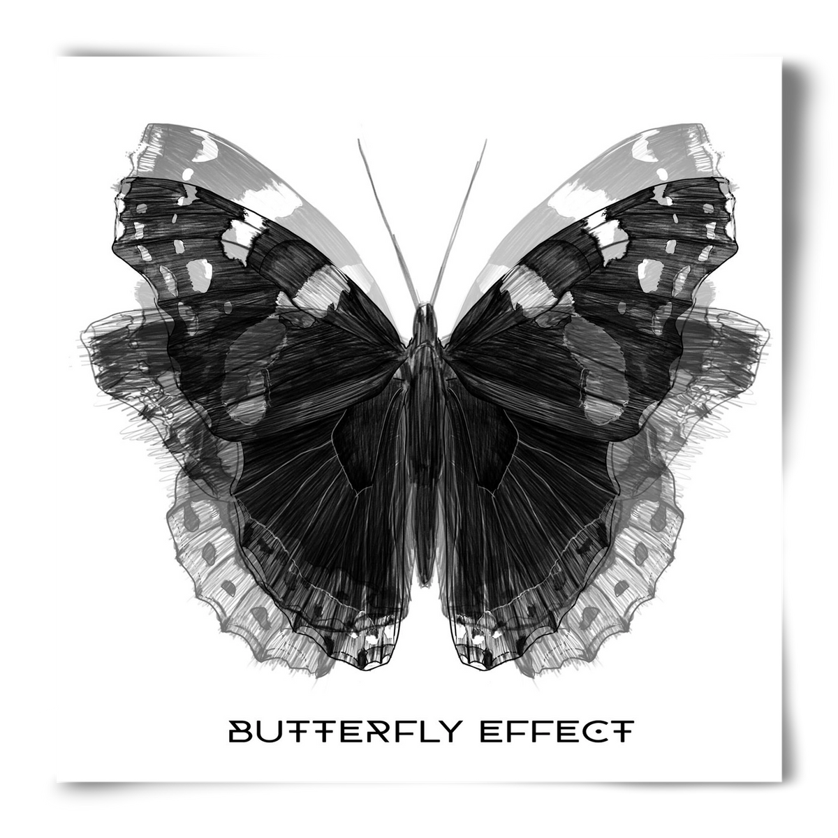 Butterfly effect, 50x50 cm, Keret nélkül