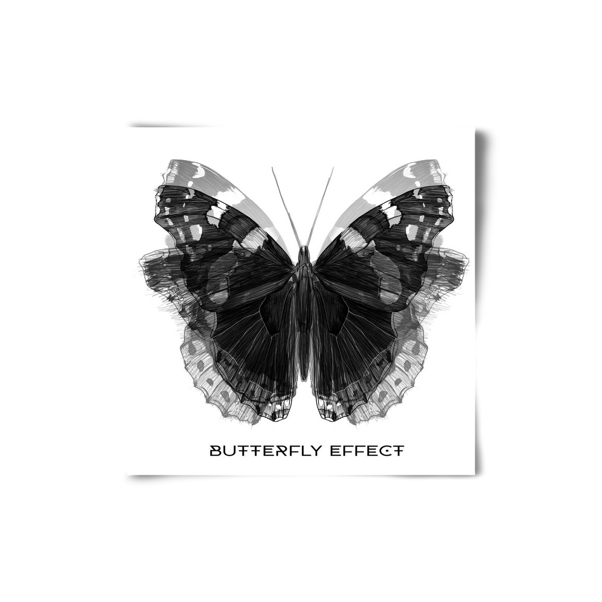 Butterfly effect, 20x20 cm, Keret nélkül