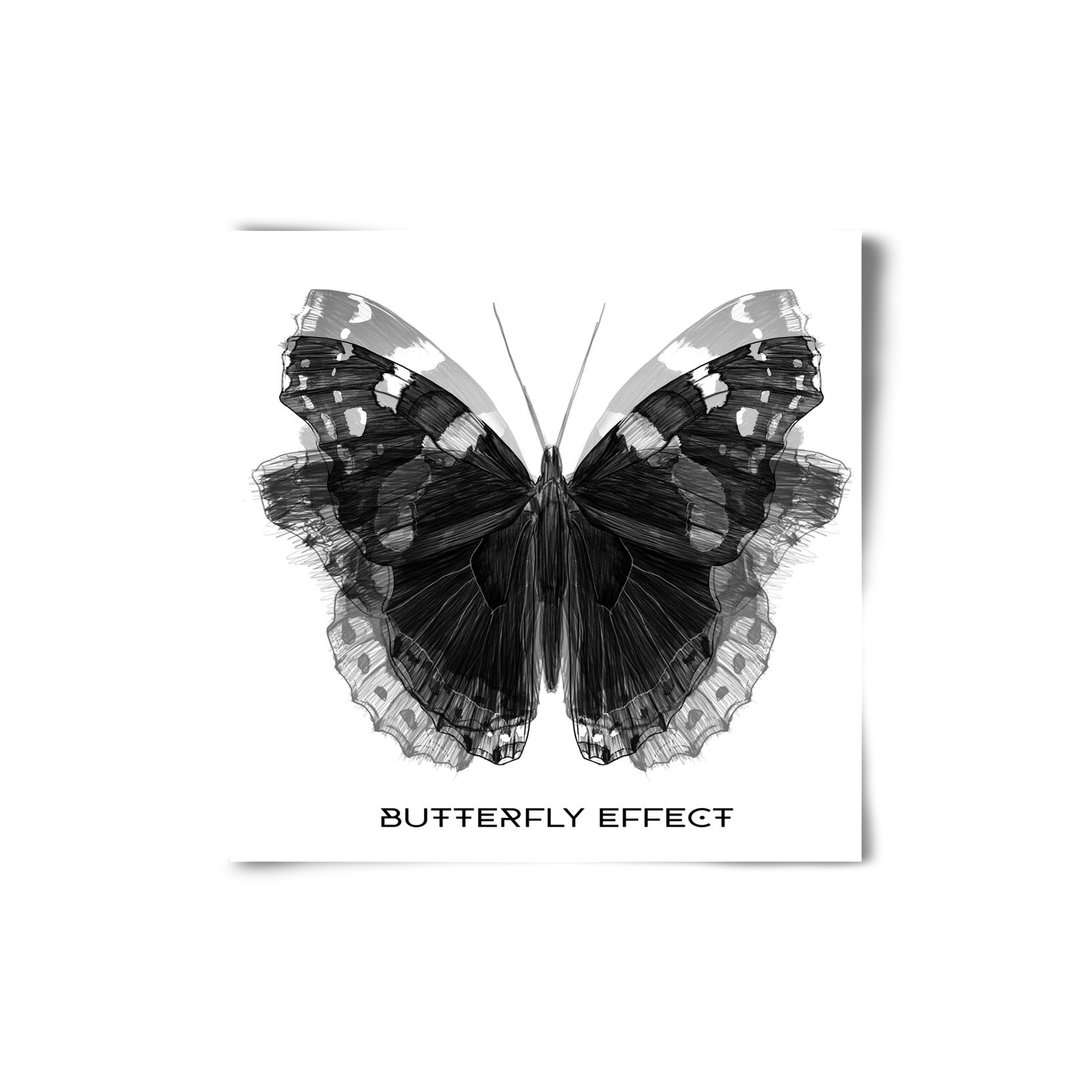 Butterfly effect, 20x20 cm, Keret nélkül