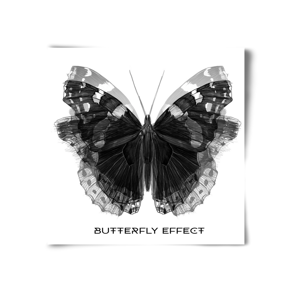 Butterfly effect, 30x30 cm, Keret nélkül