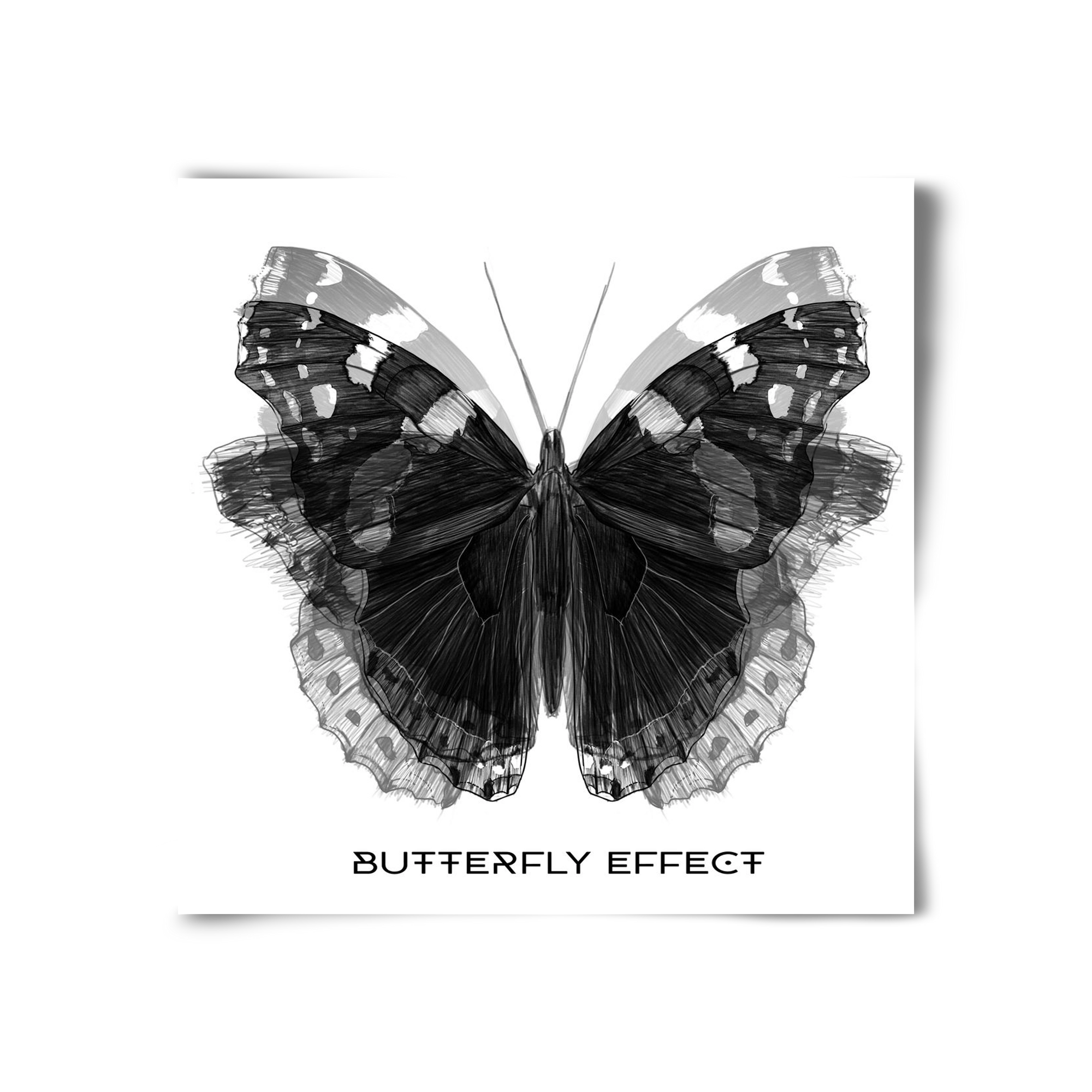 Butterfly effect, 30x30 cm, Keret nélkül