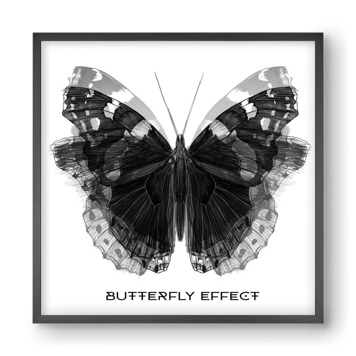 Butterfly effect, 40x40 cm (40x40 cm), Fekete keret