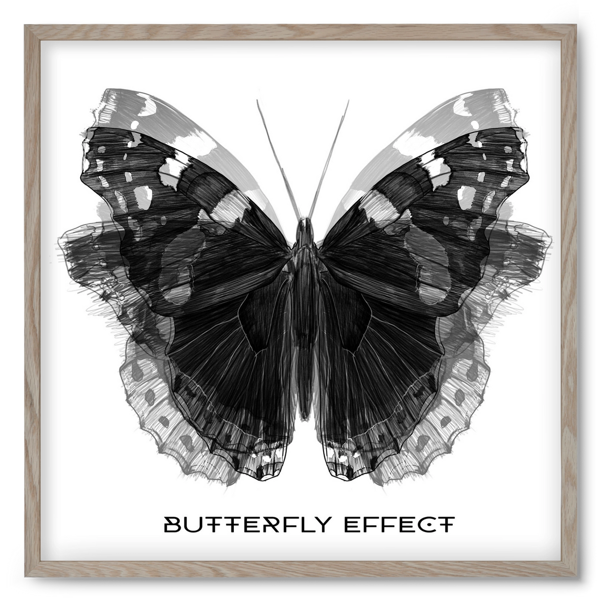 Butterfly effect, 50x50 cm (50x50 cm), Tölgy keret