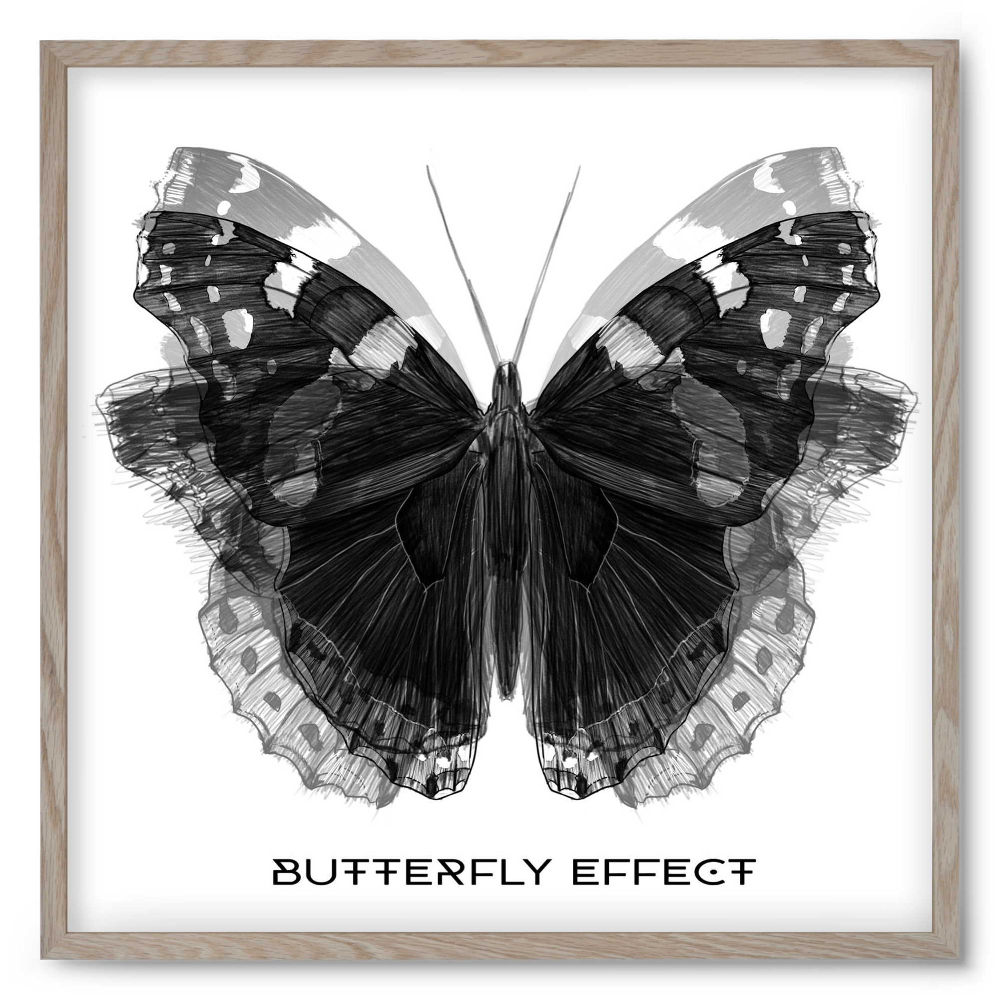 Butterfly effect, 50x50 cm (50x50 cm), Tölgy keret