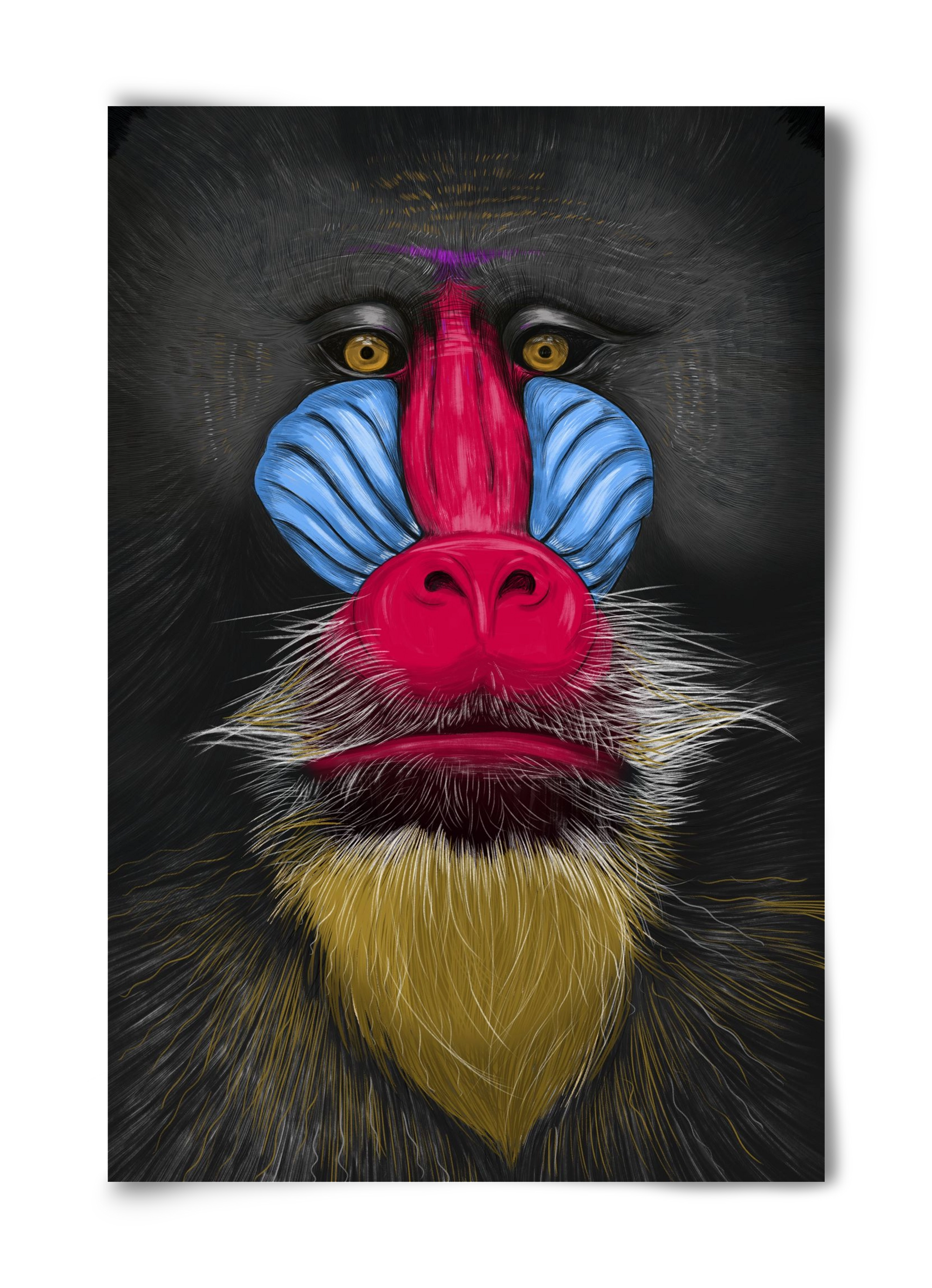 Monkey illustration, 40x60 cm, Keret nélkül