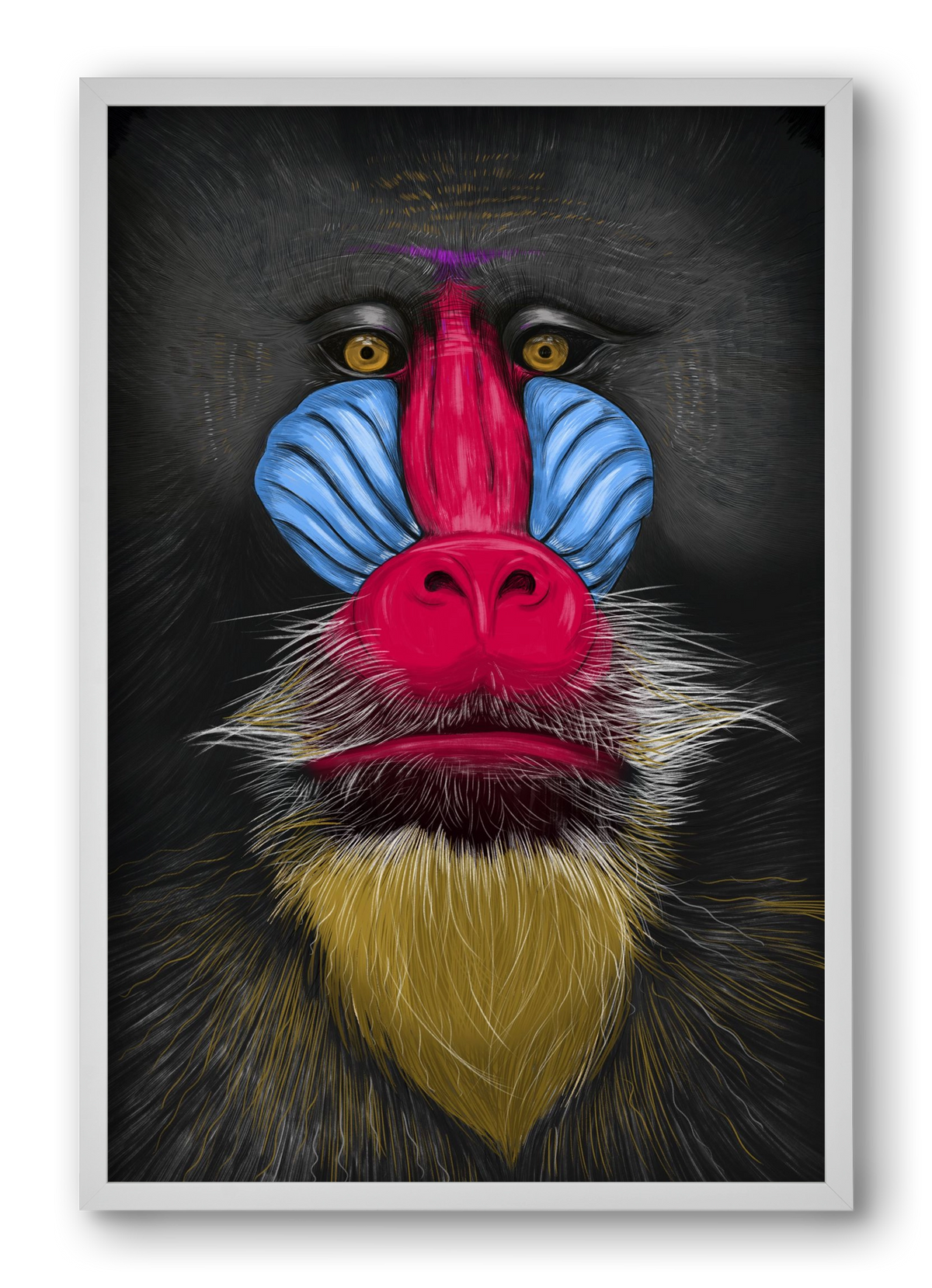 Monkey illustration, 40x60 cm (40x60 cm), Fehér keret