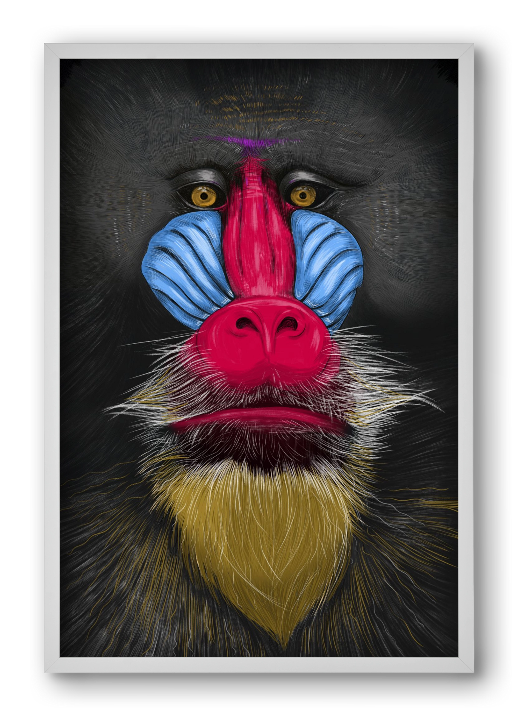 Monkey illustration, 40x60 cm (40x60 cm), Fehér keret