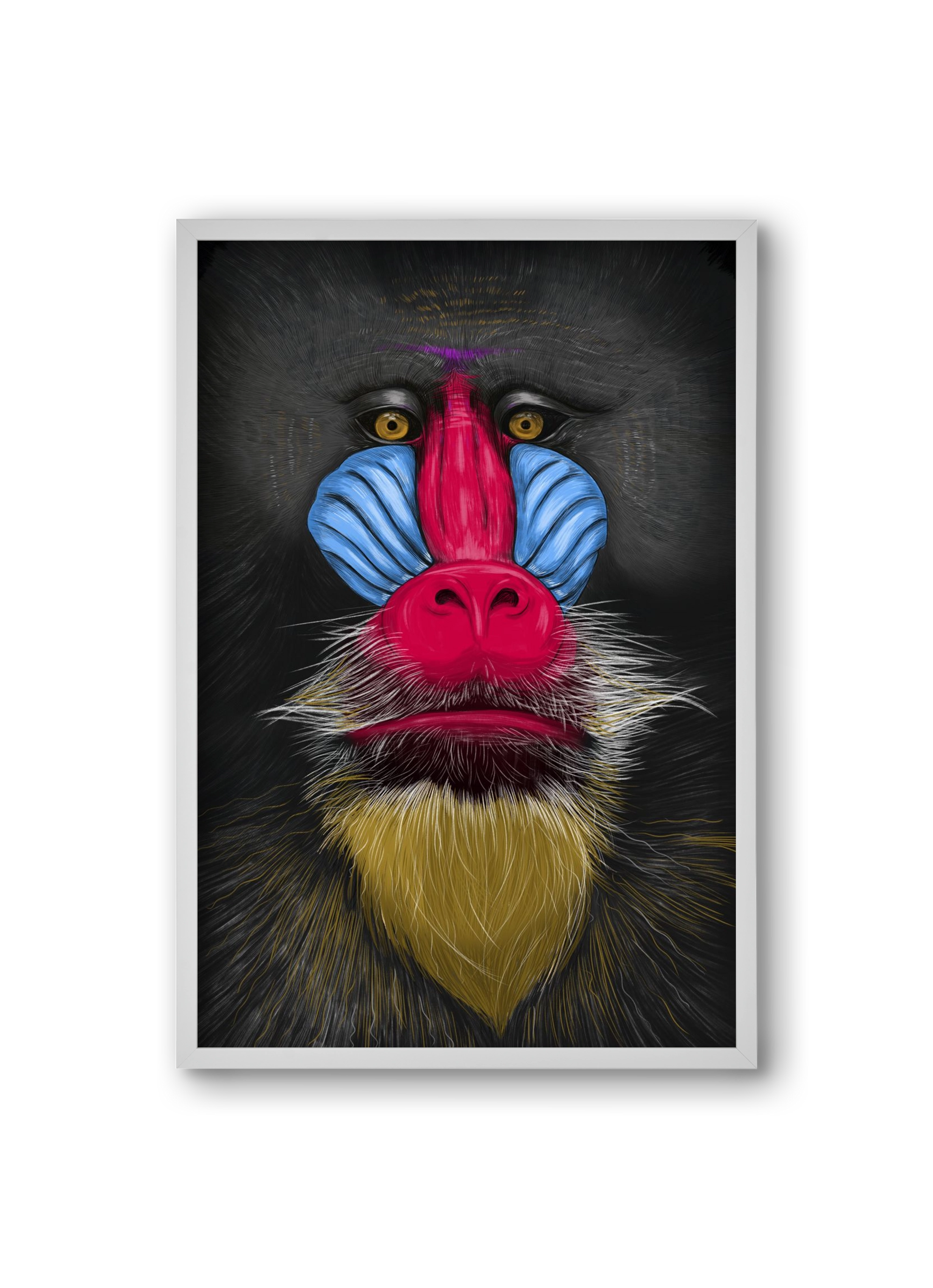 Monkey illustration, 20x30 cm (20x30 cm), Fehér keret