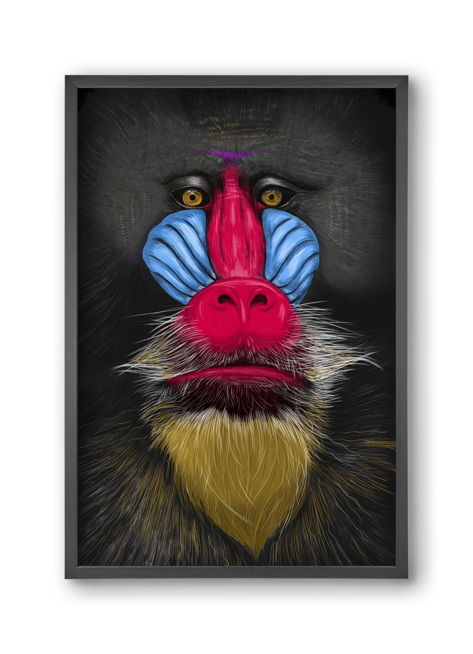 Monkey illustration, 30x45 cm (30x45 cm), Fekete keret