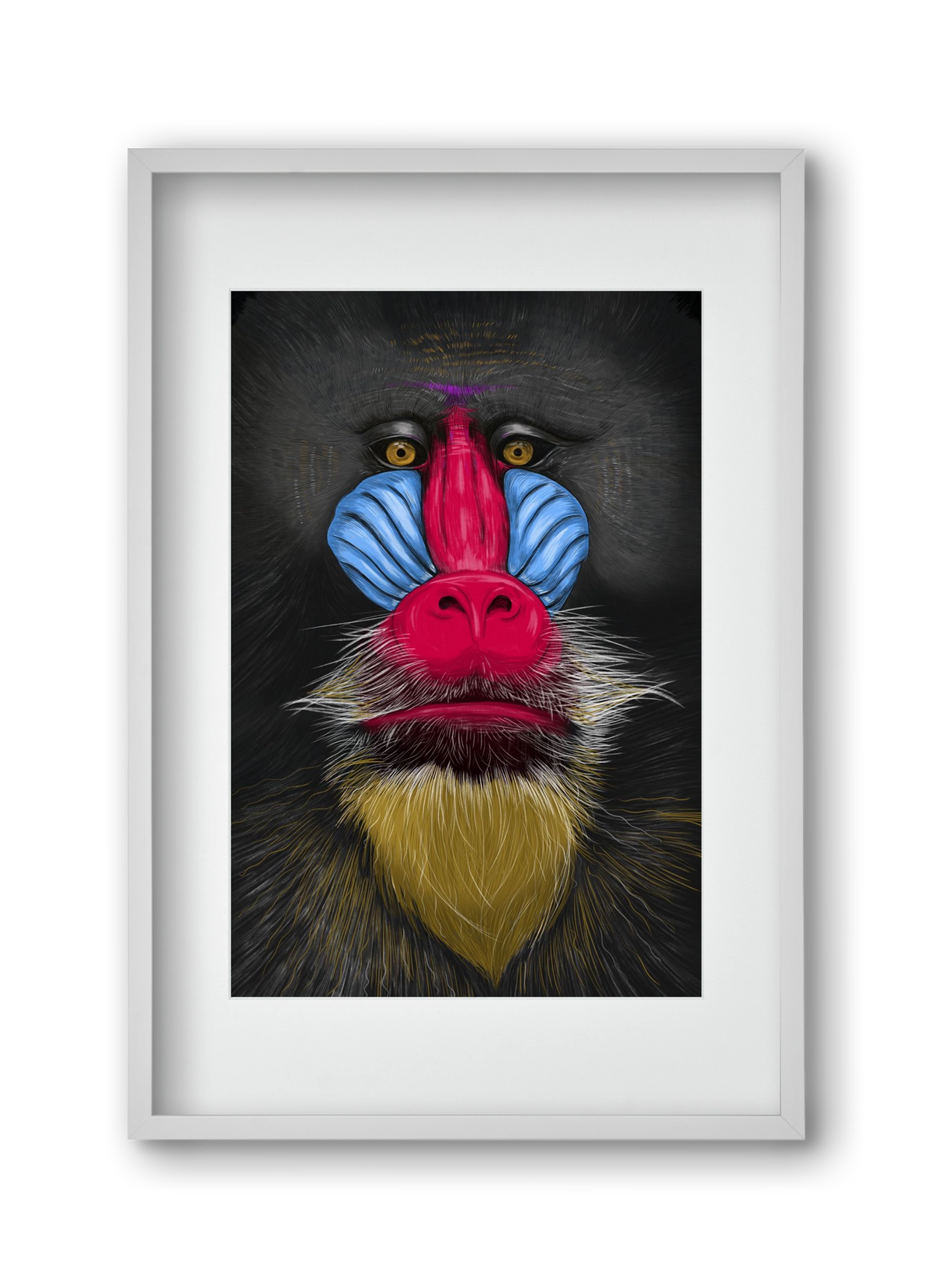 Monkey illustration, 30x45 cm (20x30 cm), Fehér keret, paszpartuval